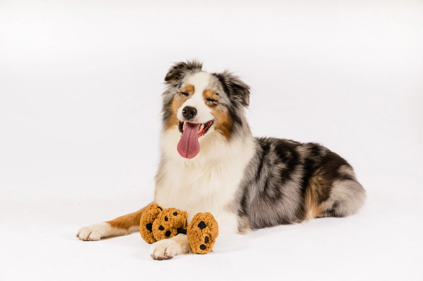 Pup Cup Café Cookies n&