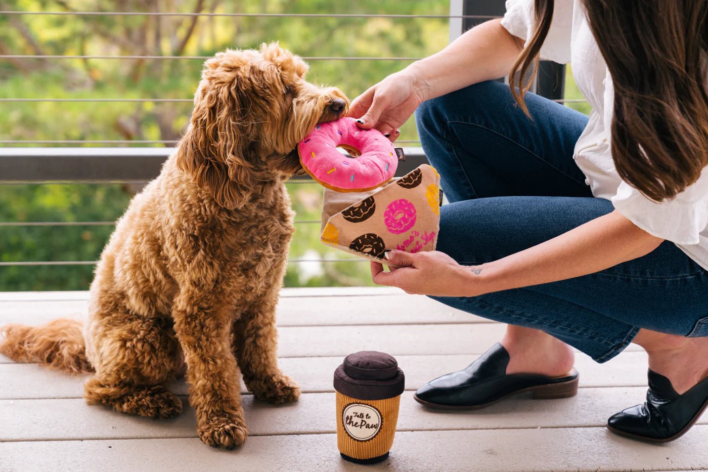Dog playing with a toy held by a person on a wooden deck