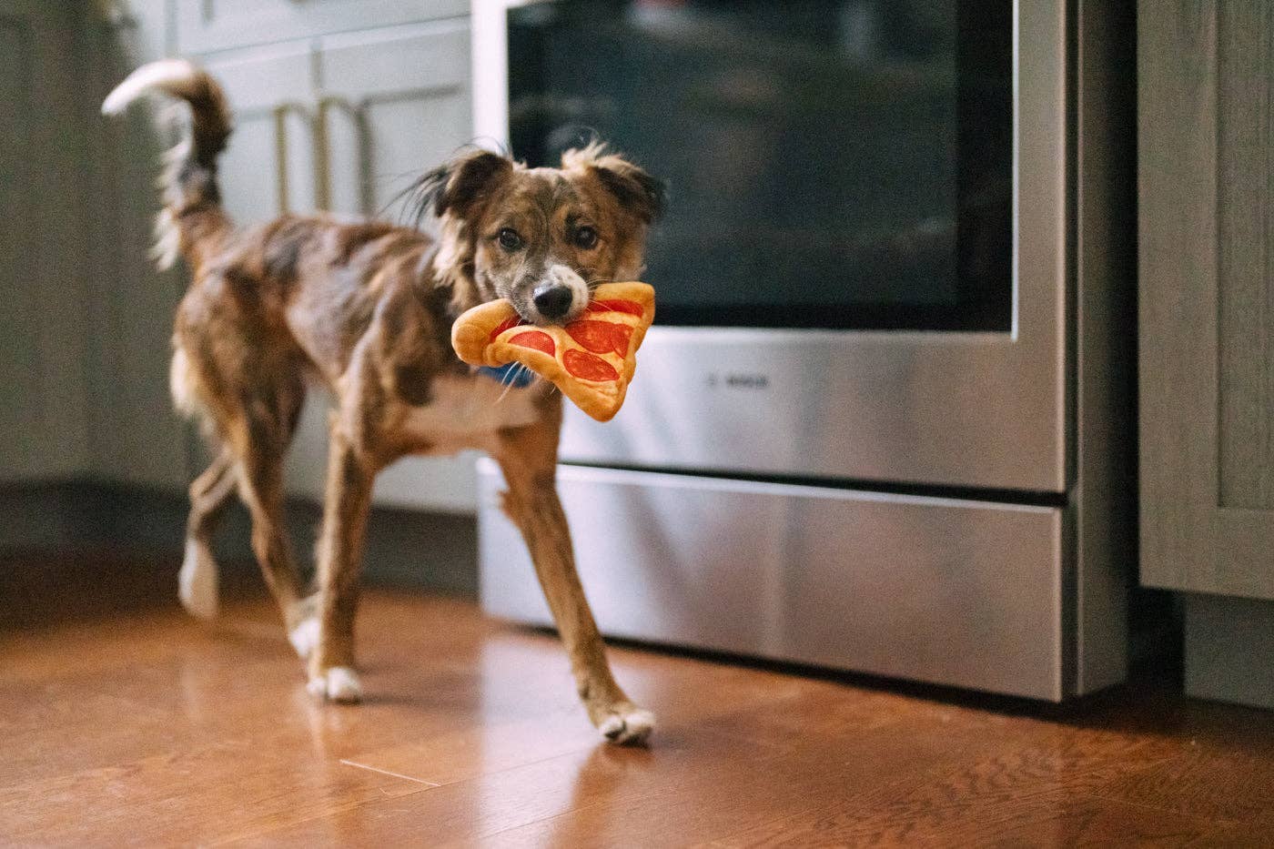 P.L.A.Y Snack Attack Puppy-roni Pizza: M - Share Happy Outfits