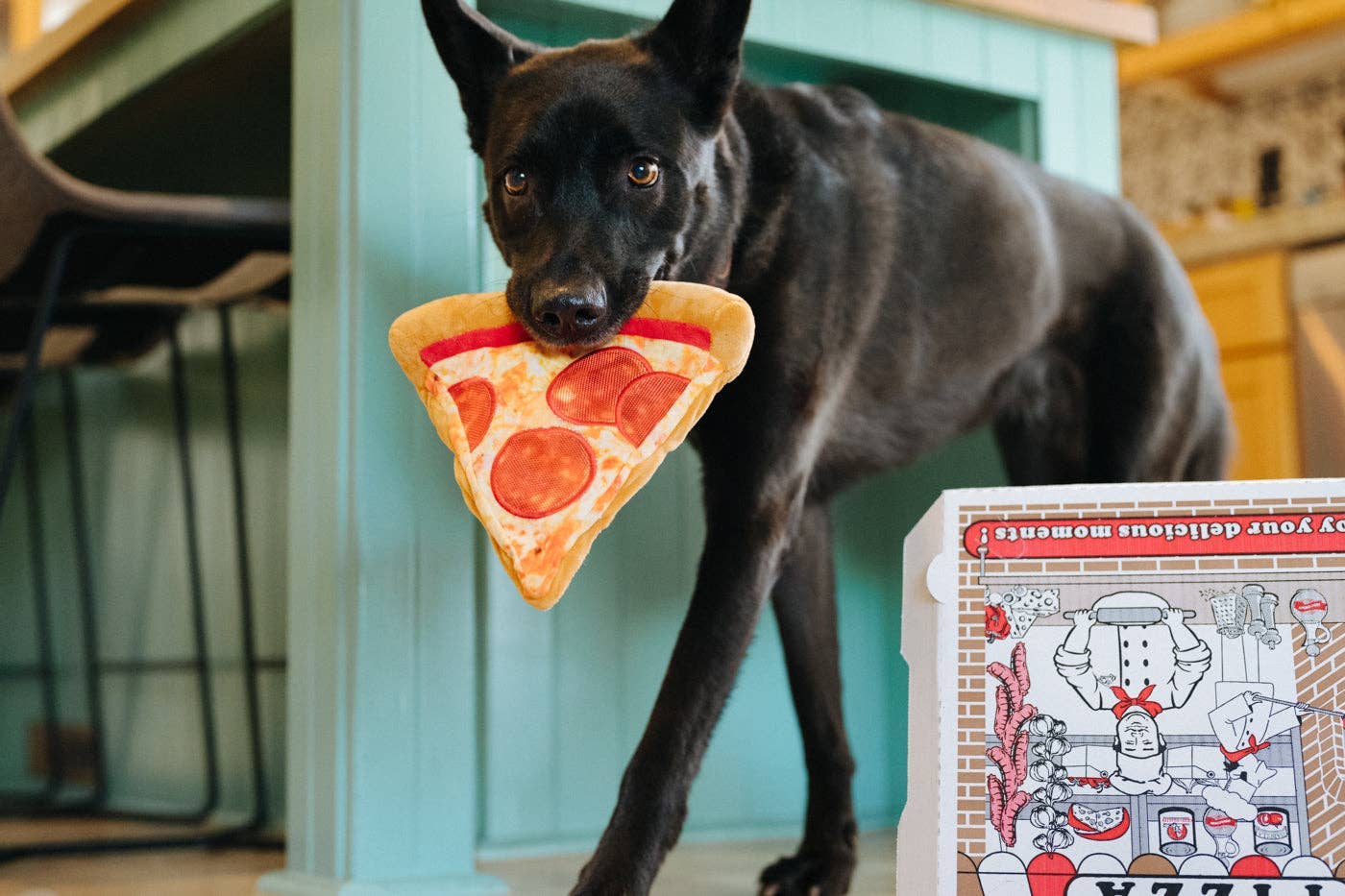 P.L.A.Y Snack Attack Puppy-roni Pizza: M - Share Happy Outfits