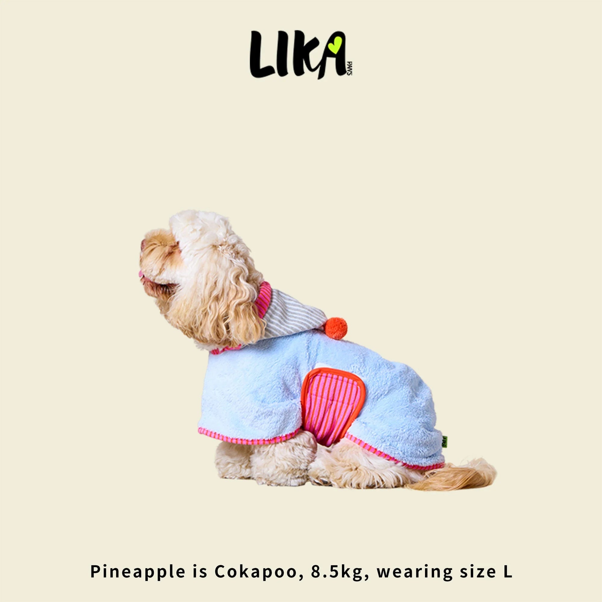Dog wearing a blue and pink outfit with &