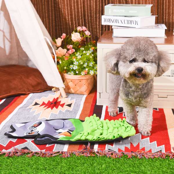 Dog standing on a colorful blanket with a small table and decorative items in the background