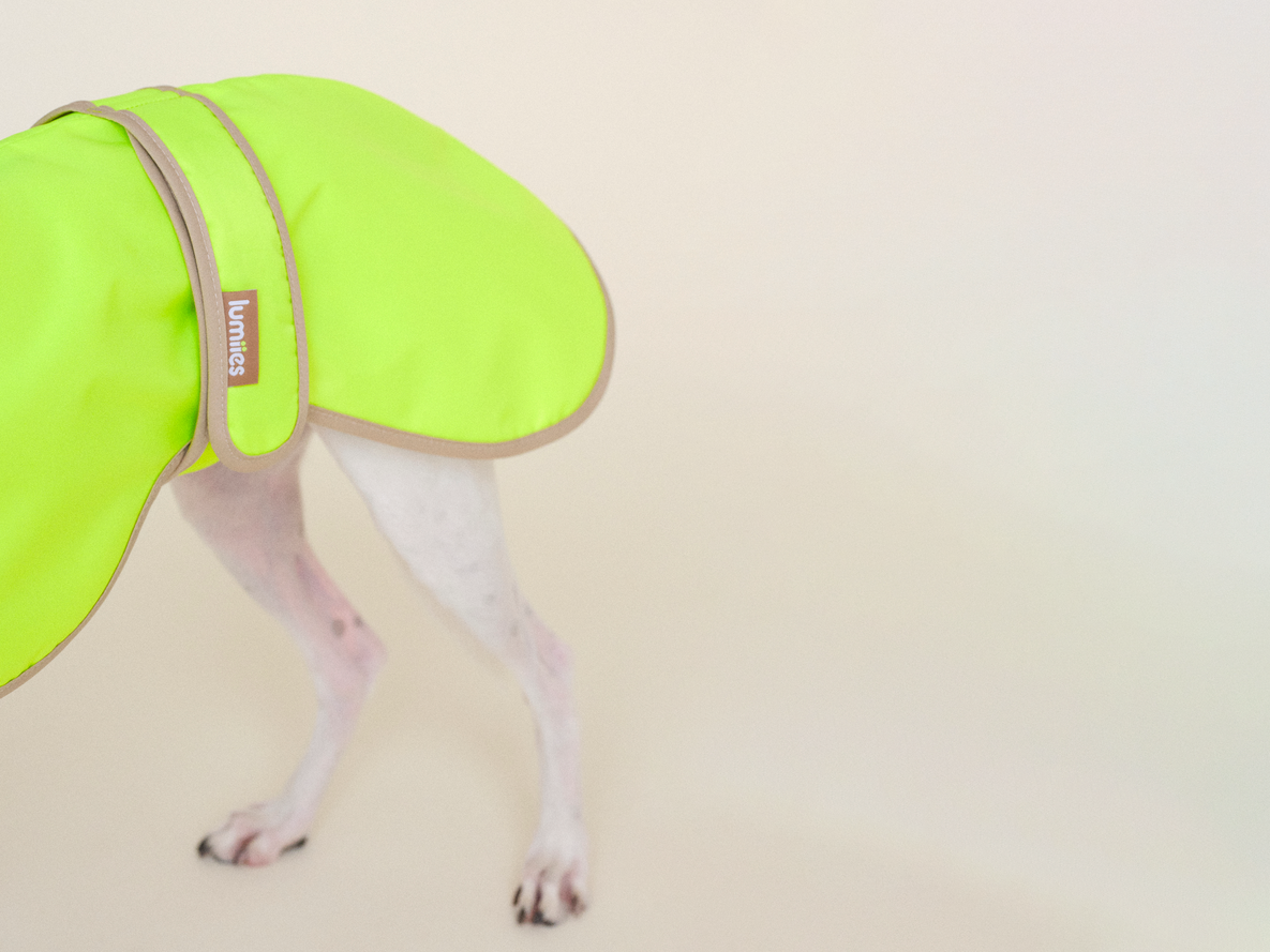 The Glow Raincoat - Yellow - Regular Fit - Share Happy Outfits