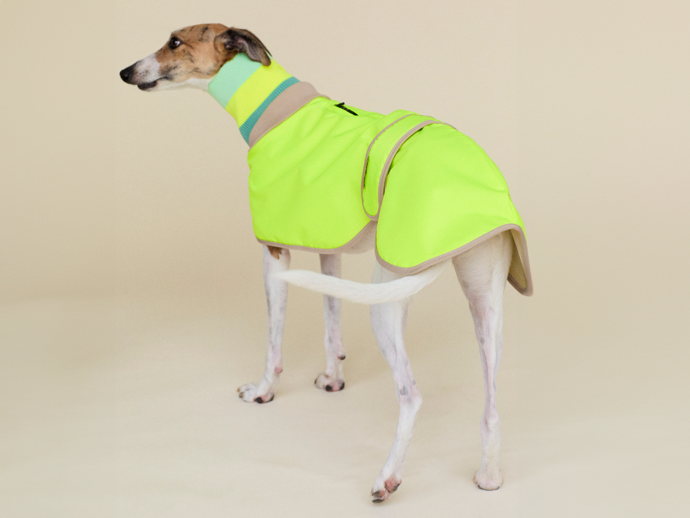 The Glow Raincoat - Yellow - Regular Fit - Share Happy Outfits
