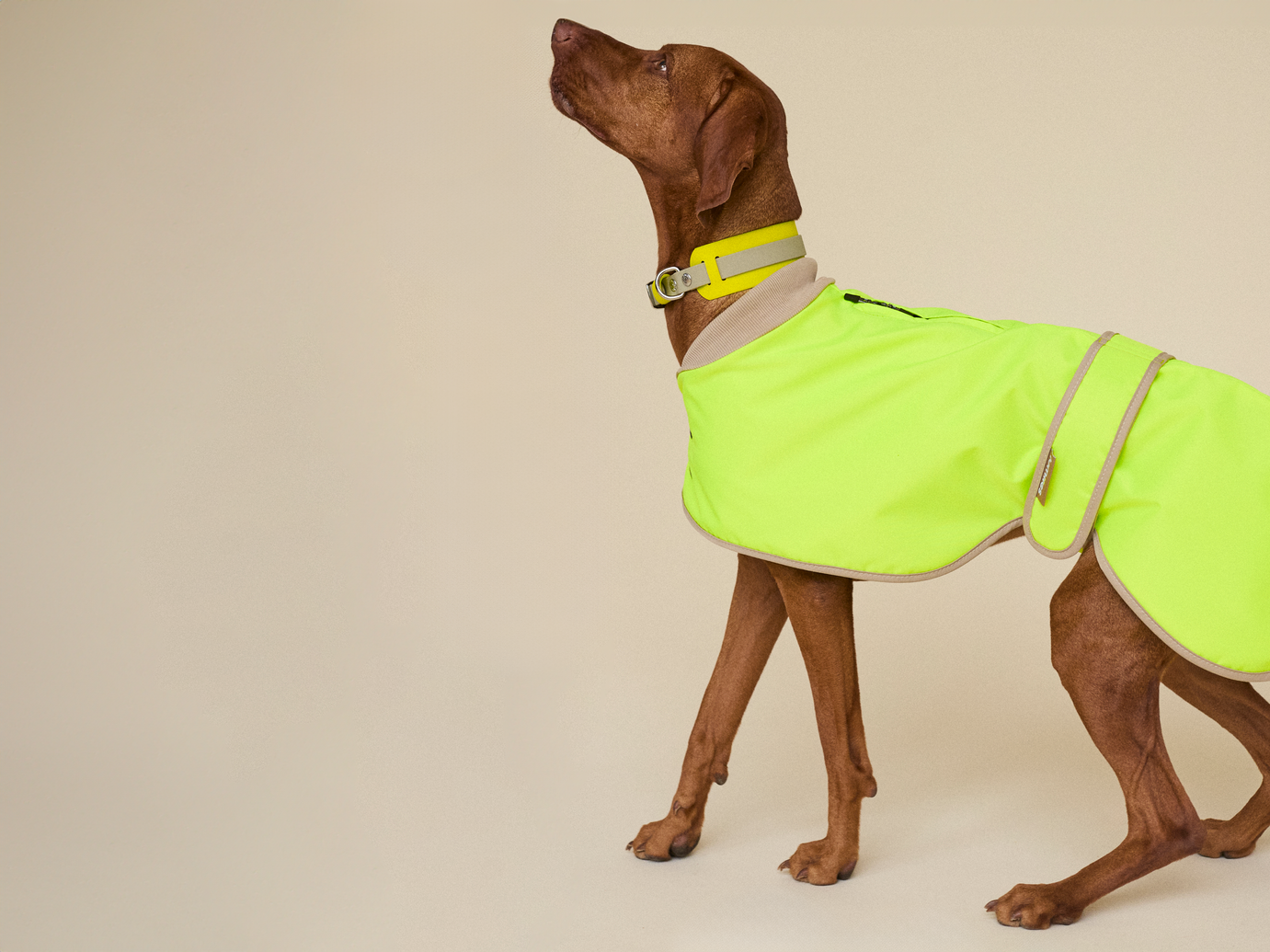 The Glow Raincoat - Yellow - Regular Fit - Share Happy Outfits