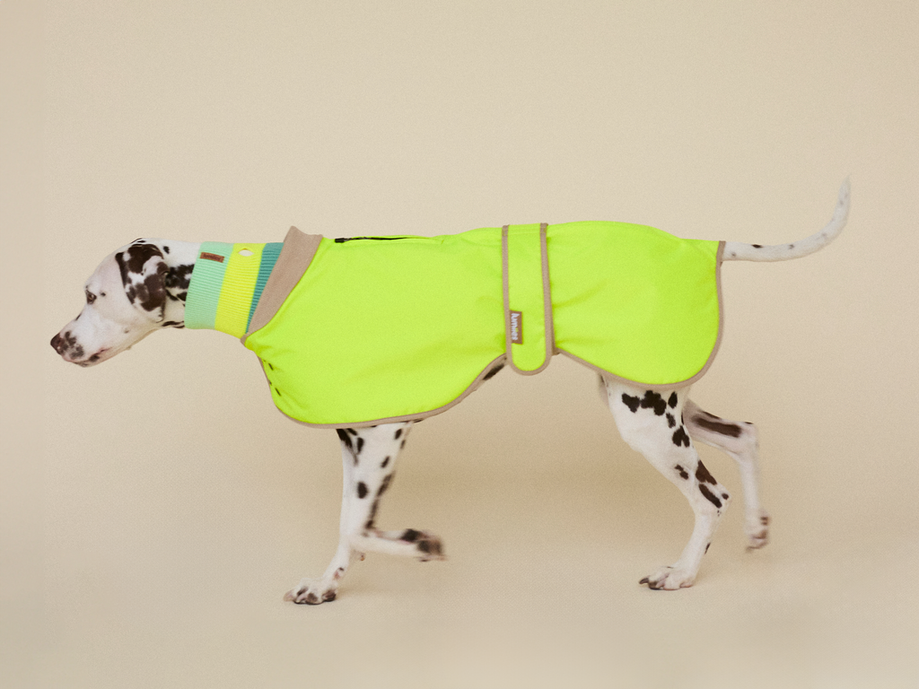 The Glow Raincoat - Yellow - Regular Fit - Share Happy Outfits