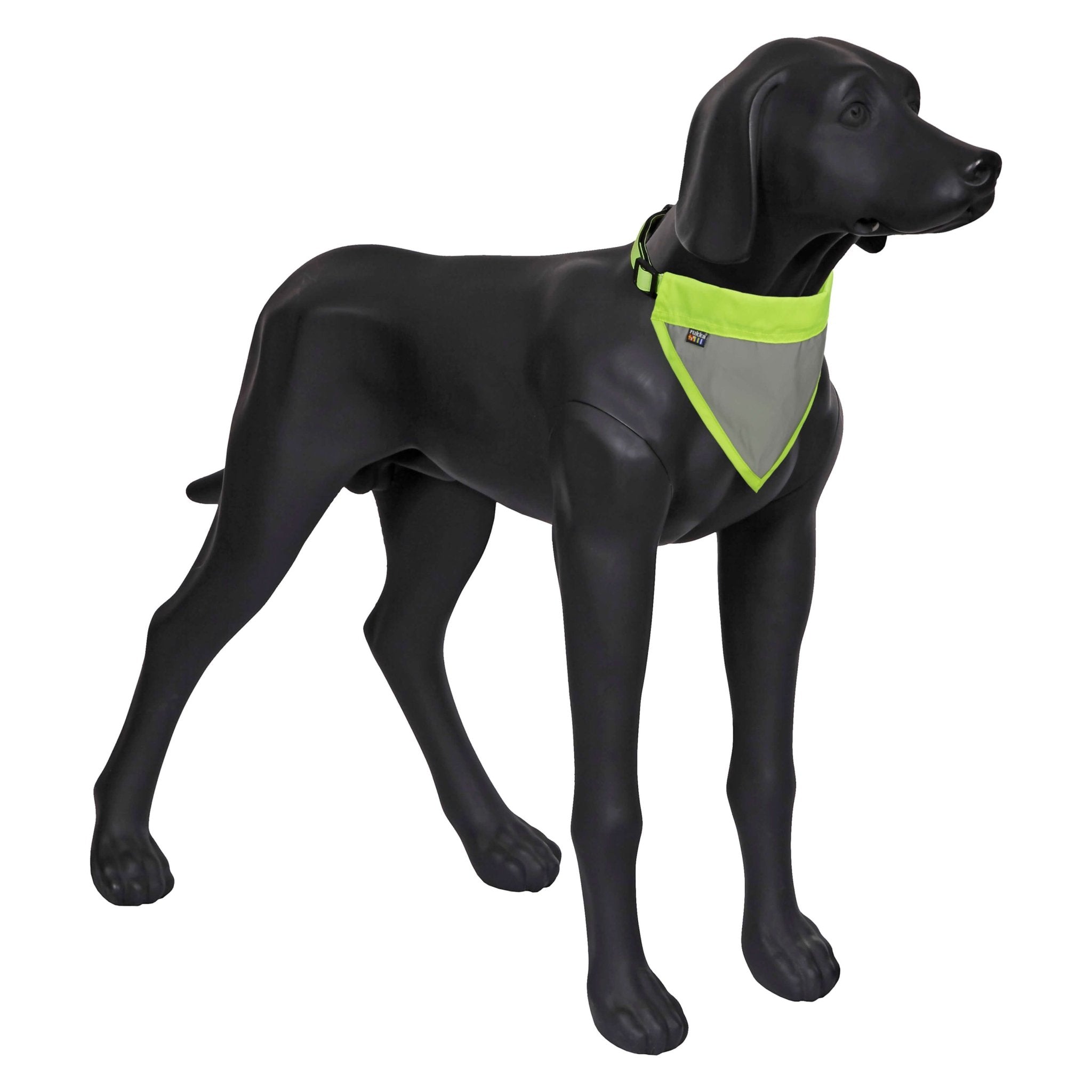 Black dog wearing a green and gray reflective vest on a white background