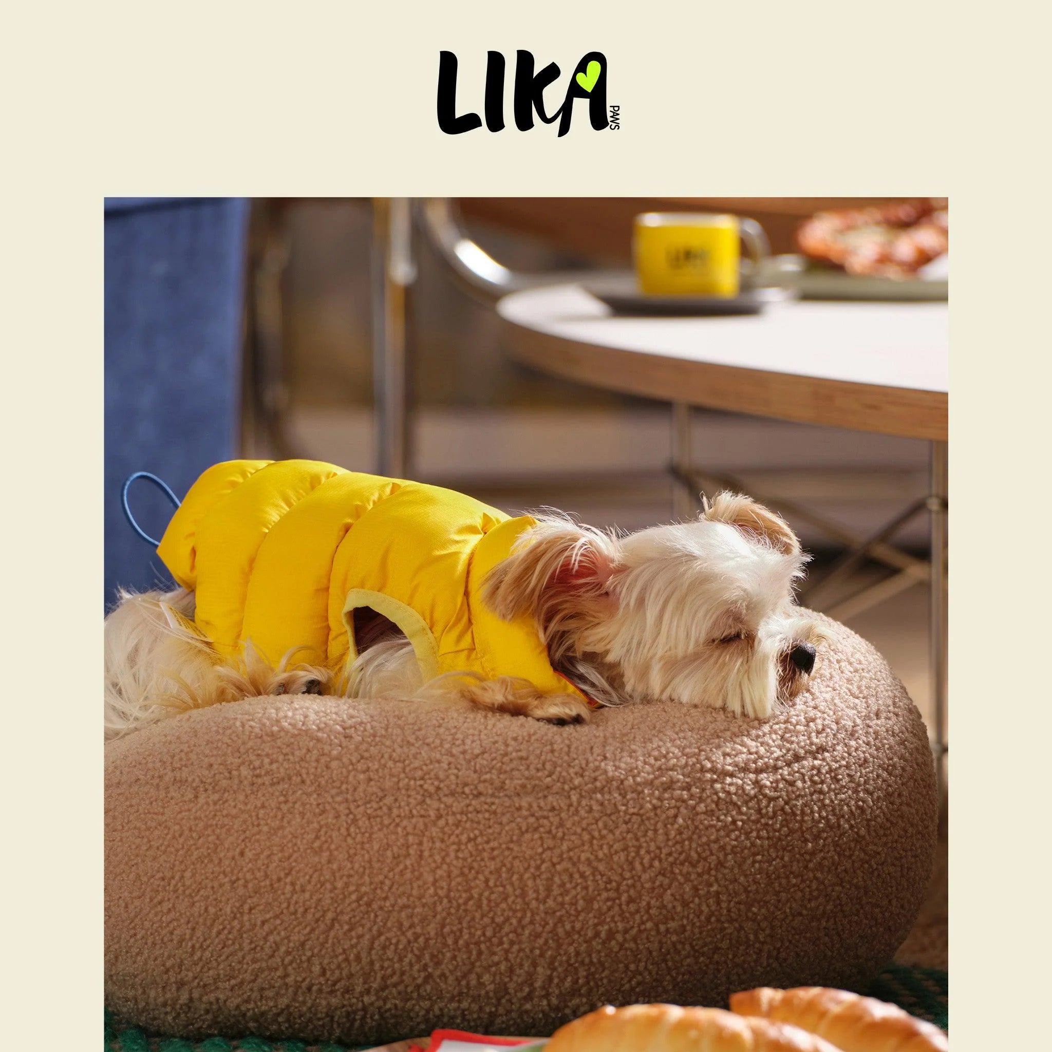 Nordic Style Reversible Padded Dog Jacket