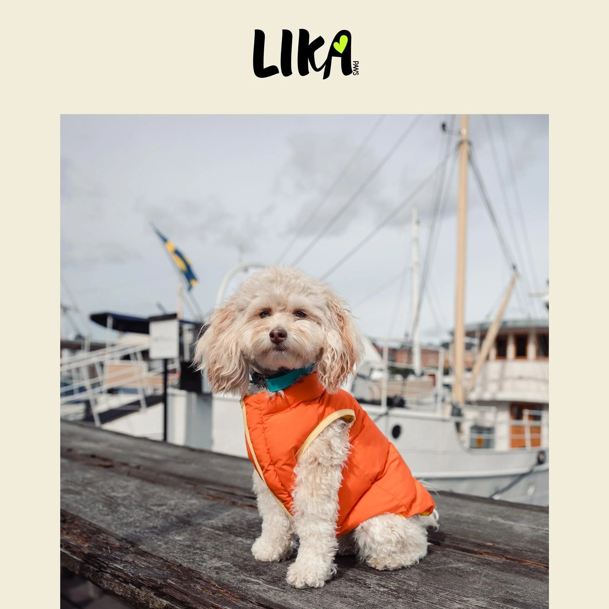 Nordic Style Reversible Padded Dog Jacket