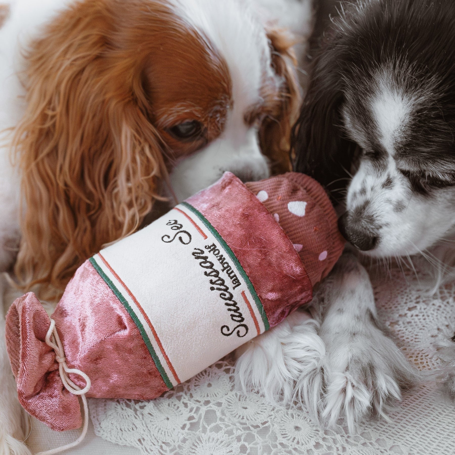 Saucisson – Challenging Burrow & Snuffle Dog Toy - Share Happy Outfits