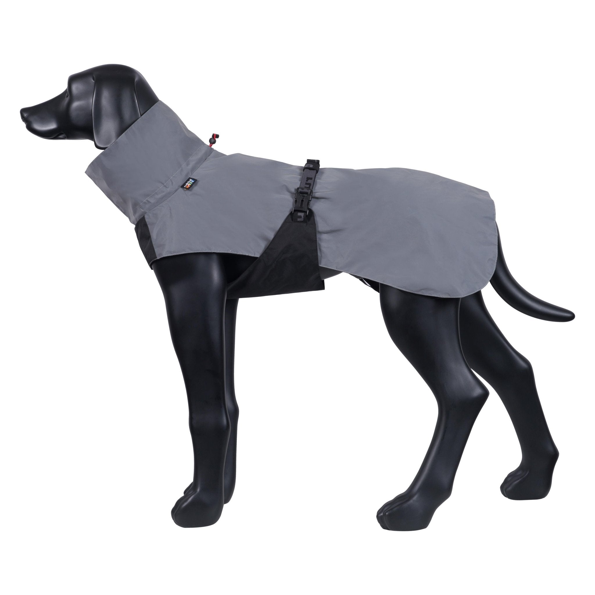 Dog wearing a gray raincoat on a white background