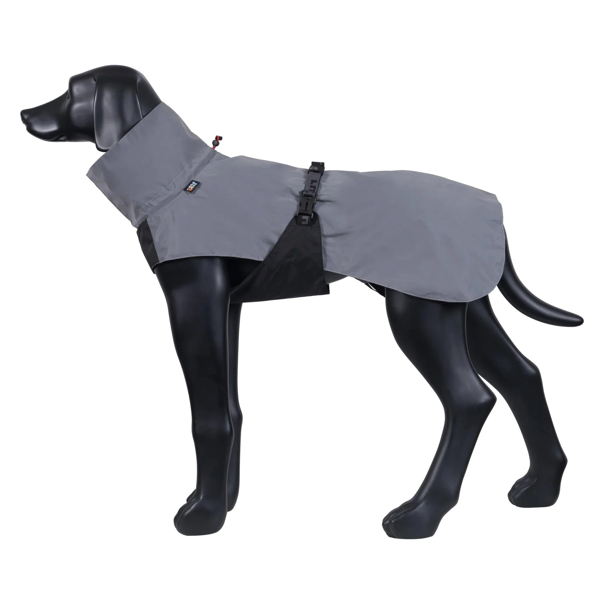 Dog wearing a gray raincoat on a white background
