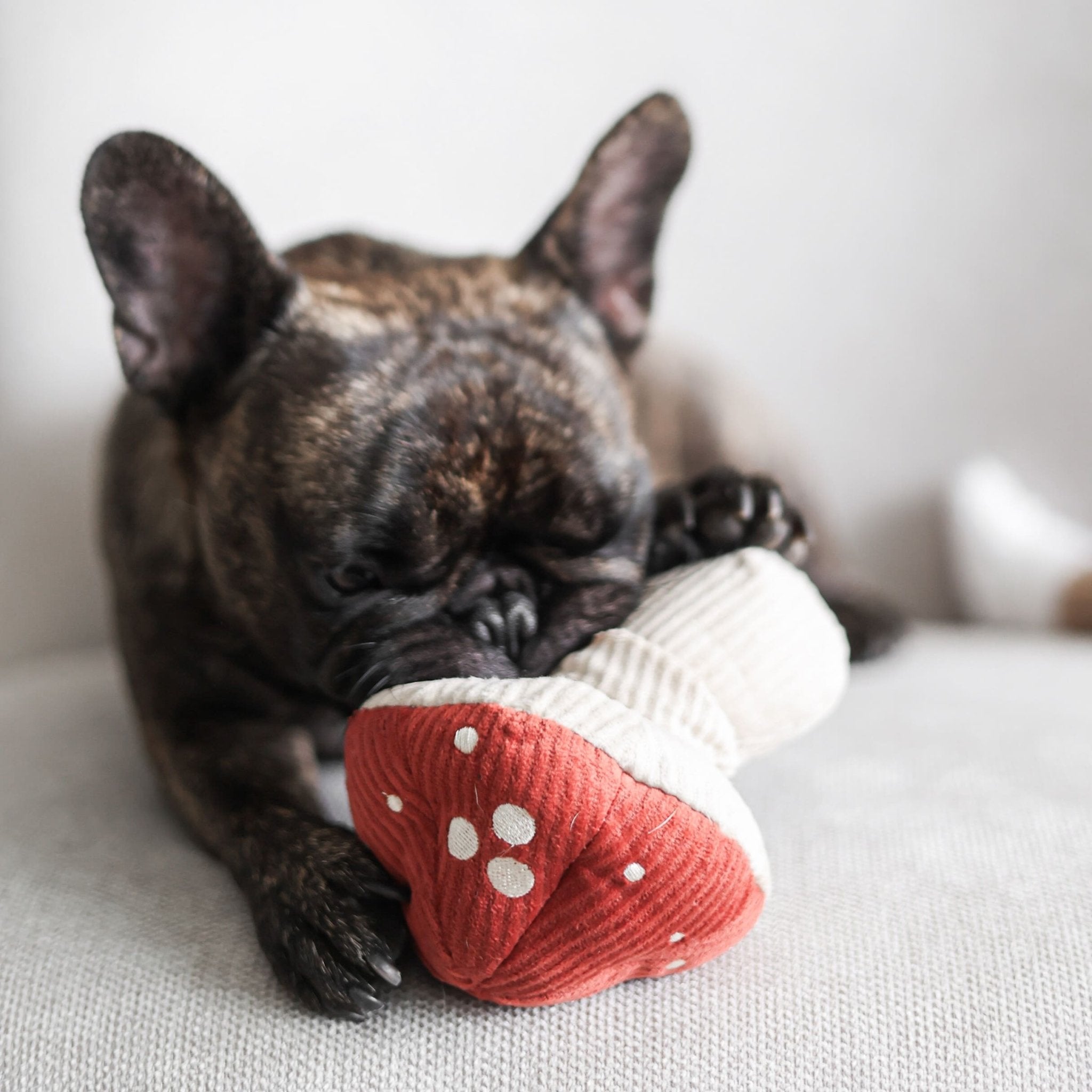 Shroom - Interactive Snuffle & Burrow Dog Toy - Share Happy Outfits