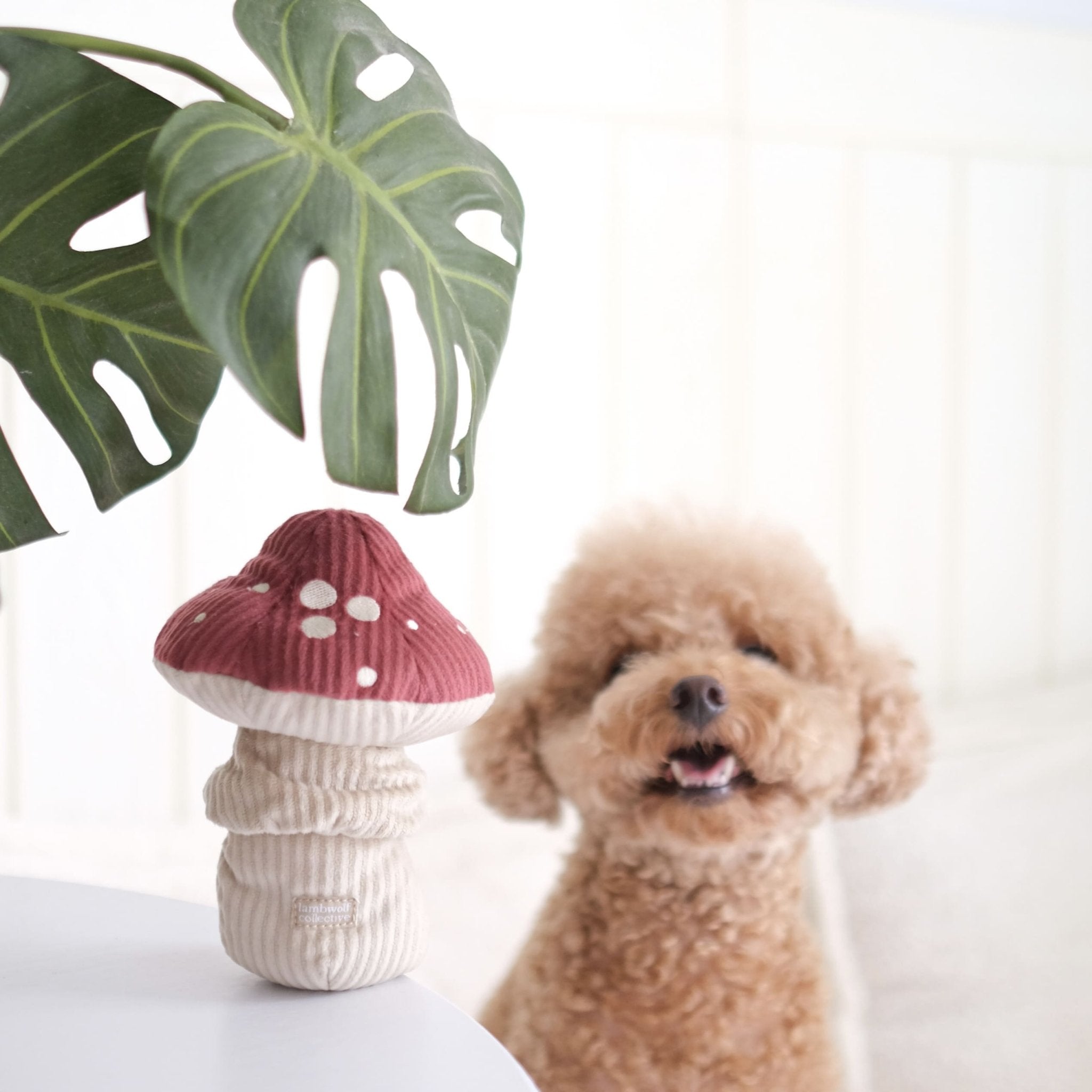 Shroom - Interactive Snuffle & Burrow Dog Toy - Share Happy Outfits