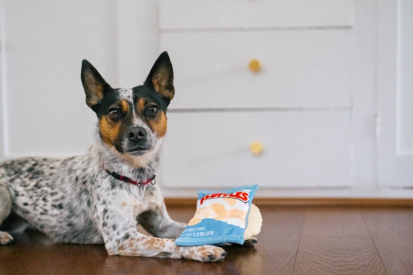 P.L.A.Y Snack Attack Fluffles Chips: M - Share Happy Outfits