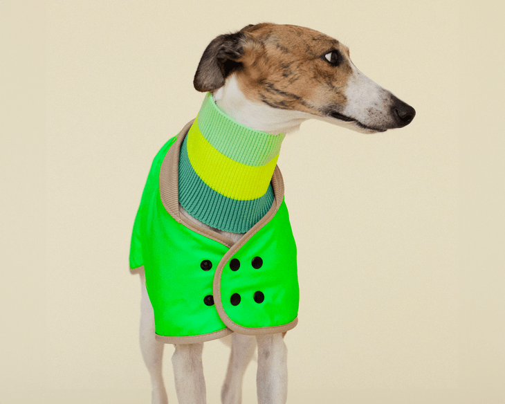 The Glow Raincoat - Green - Regular Fit - Share Happy Outfits