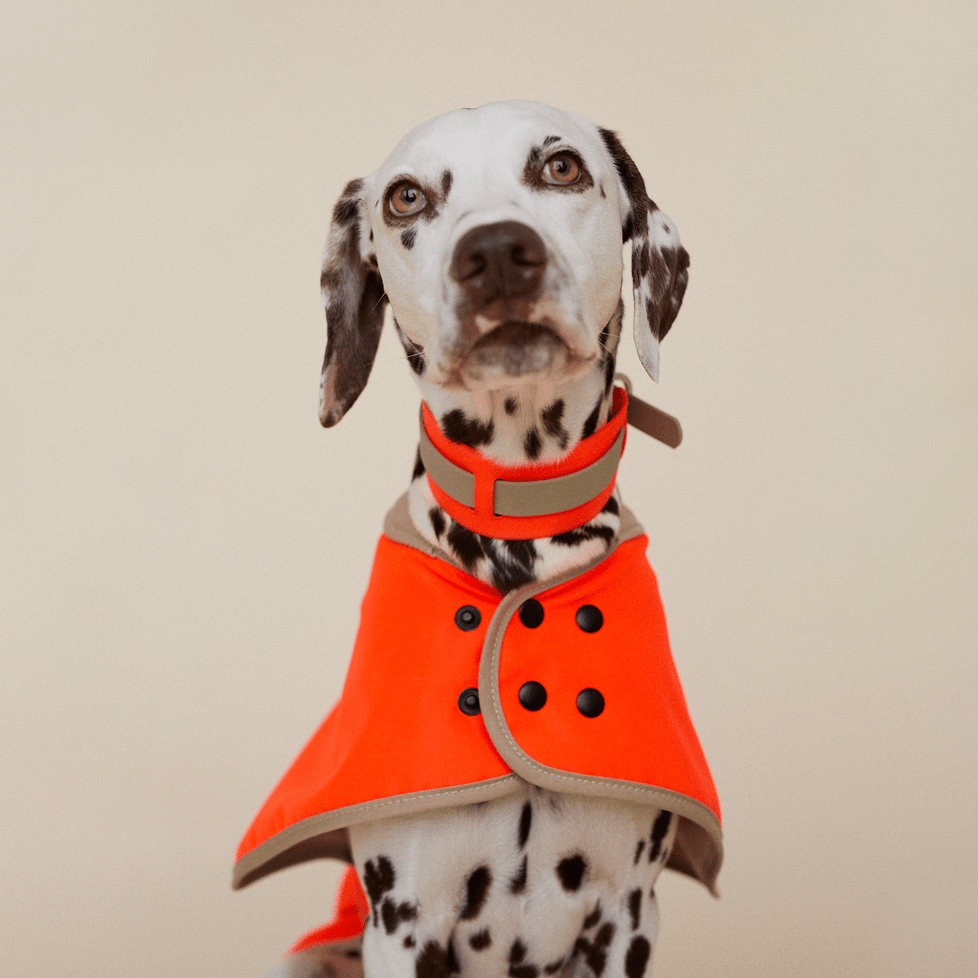 The Glow Raincoat - Orange - Regular Fit - Share Happy Outfits
