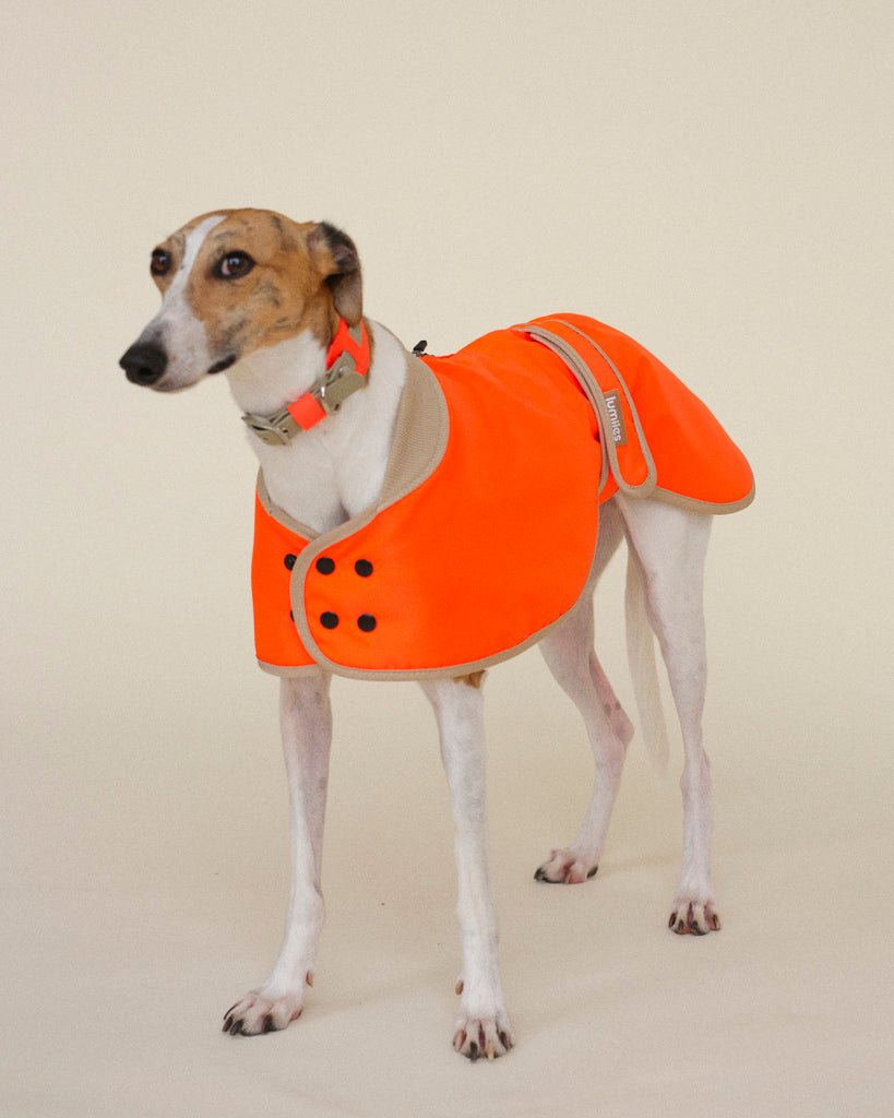 The Glow Raincoat - Orange - Regular Fit - Share Happy Outfits