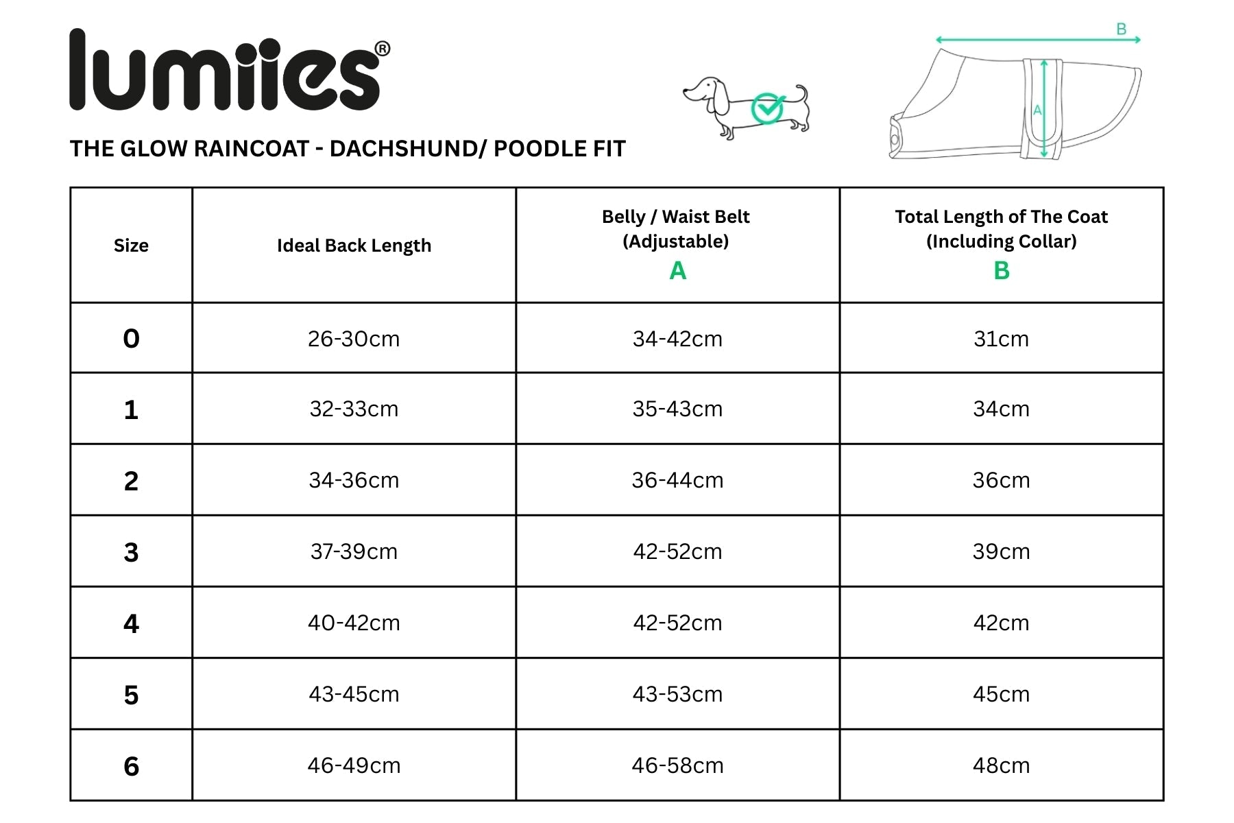 The Glow Raincoat Oxford - Green - Dachshund/Poodle Fit - Share Happy Outfits