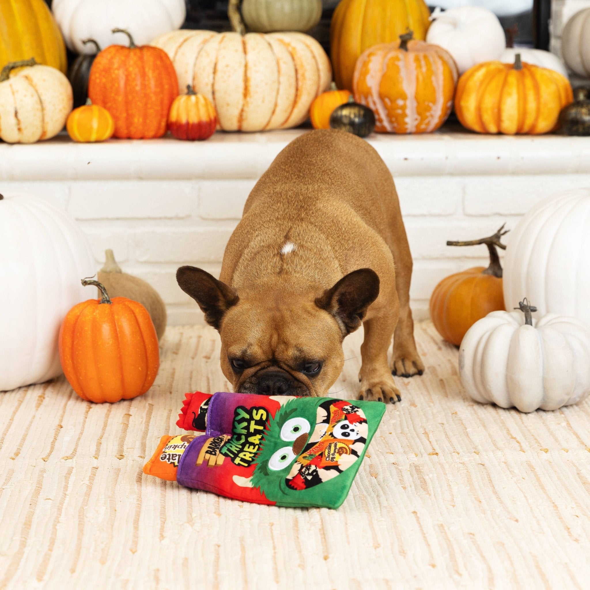 Fringe Plush Dog Toy - TRICKY TREATS - Share Happy Outfits