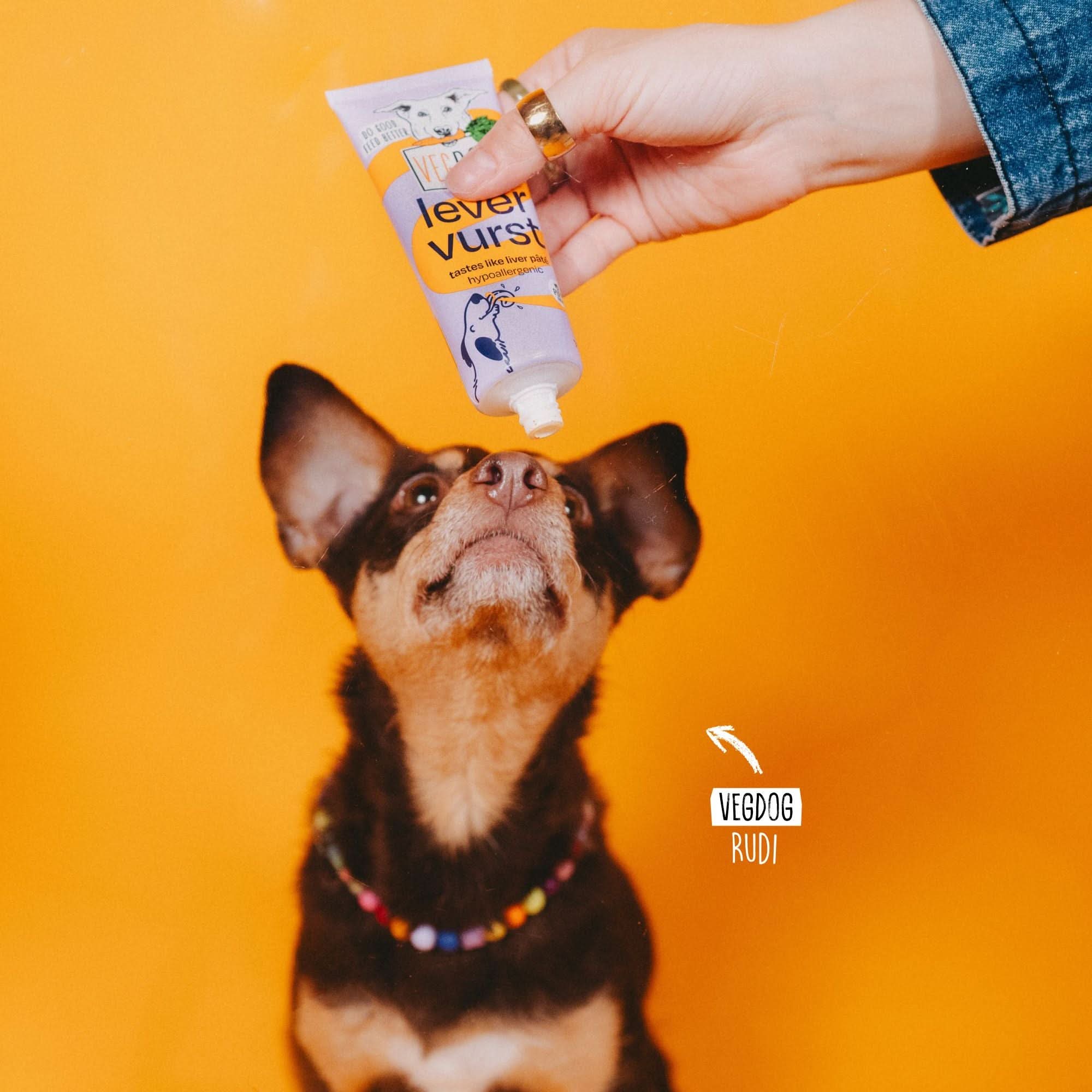 VEGDOG Levervurst | Vegan Training Treat Paste for Dogs | Hypoallergenic Reward in a Tube - Share Happy Outfits