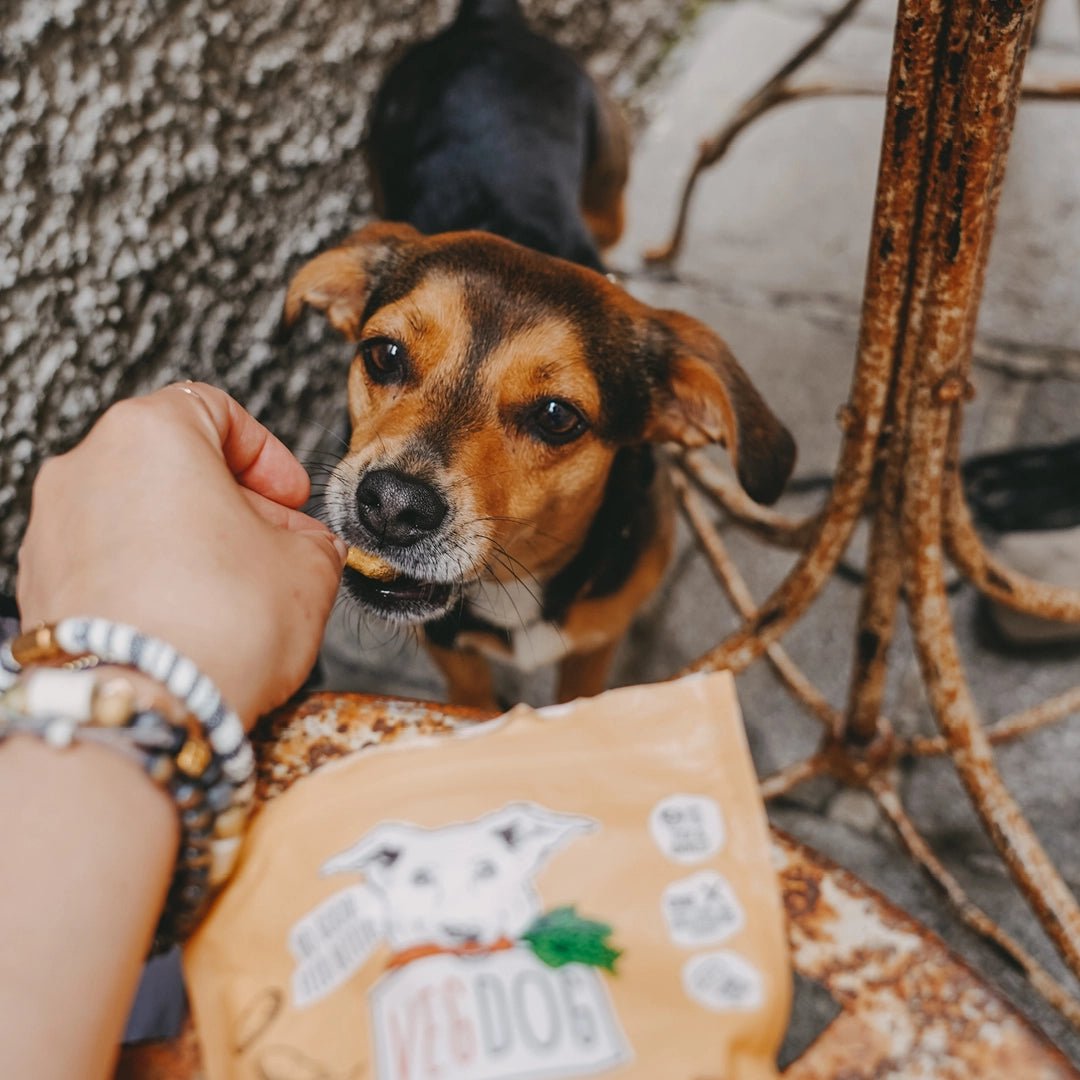 Person feeding a dog from a bag labeled &