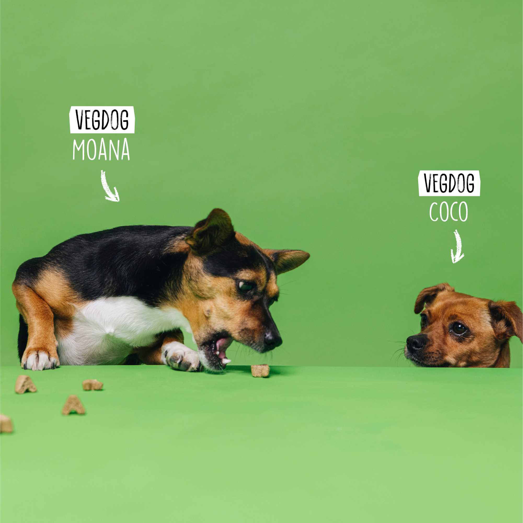 Two dogs labeled &