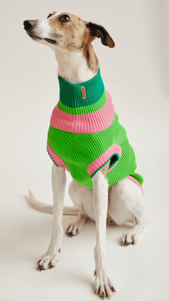 Watermelon Crush - The Glow Jumper - Share Happy Outfits