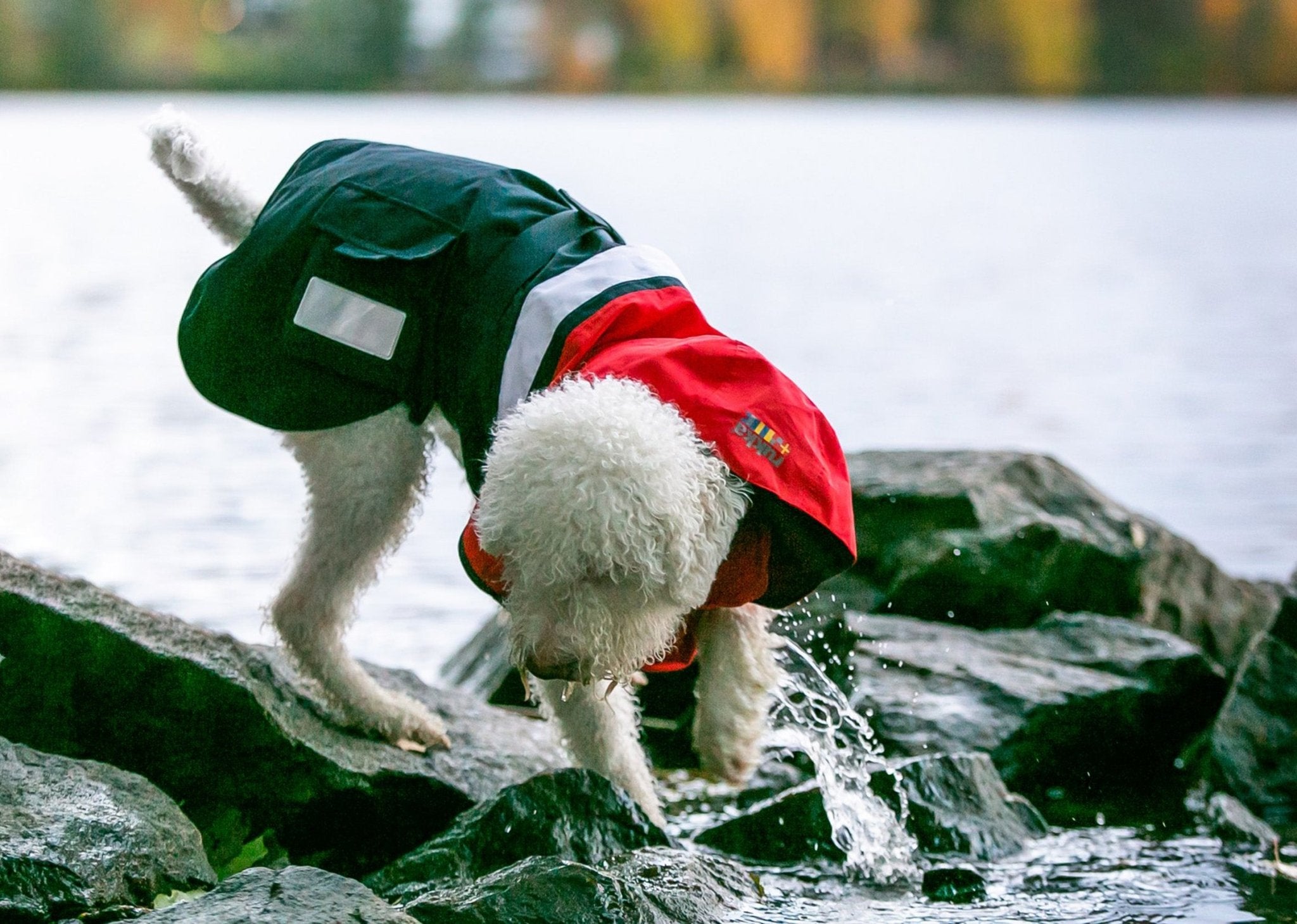 Wavy Lightweight Waterproof Coat - Share Happy Outfits