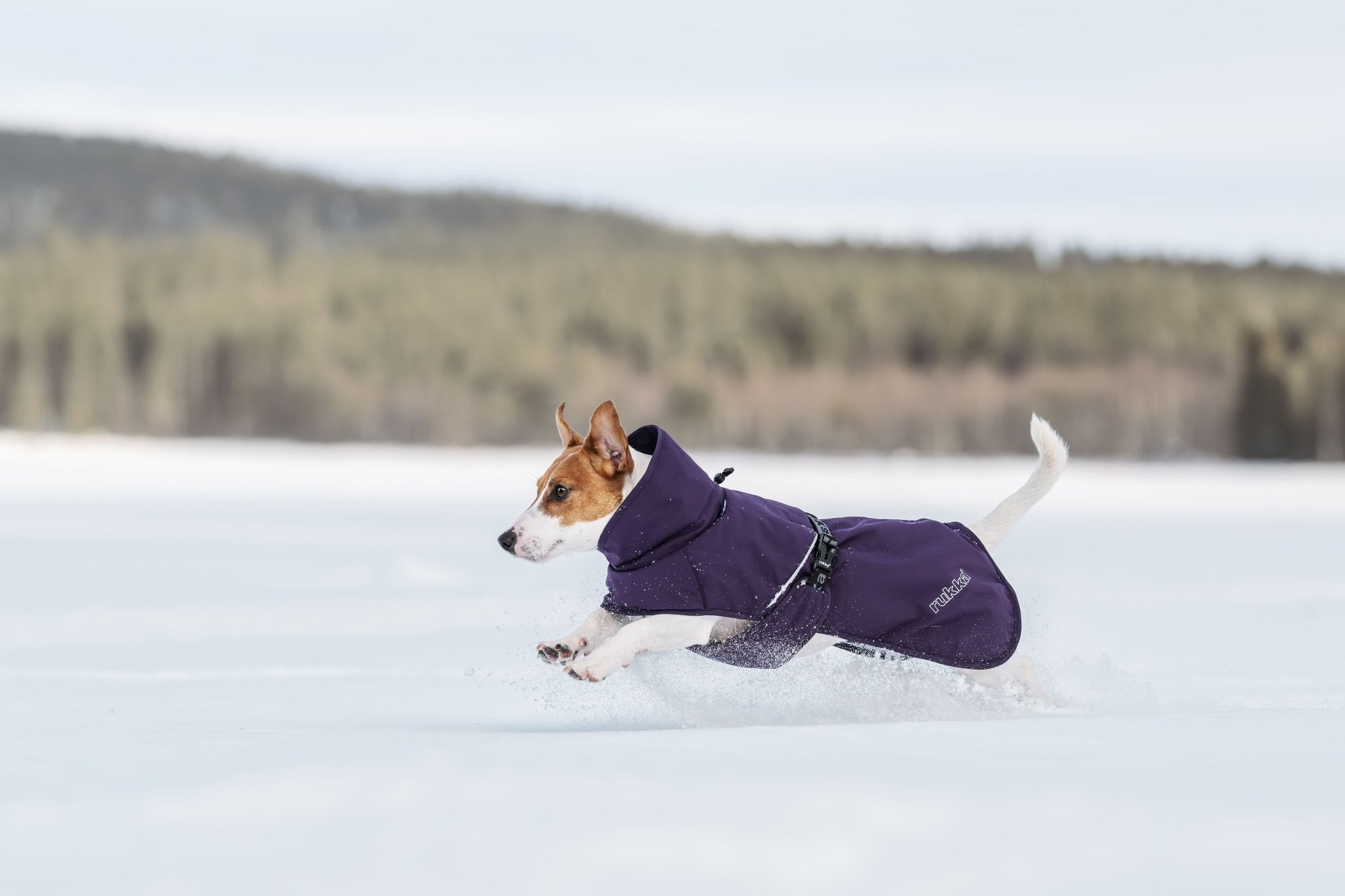 Winter Coat – Rukka Trust Foil Padded Jacket - Share Happy Outfits