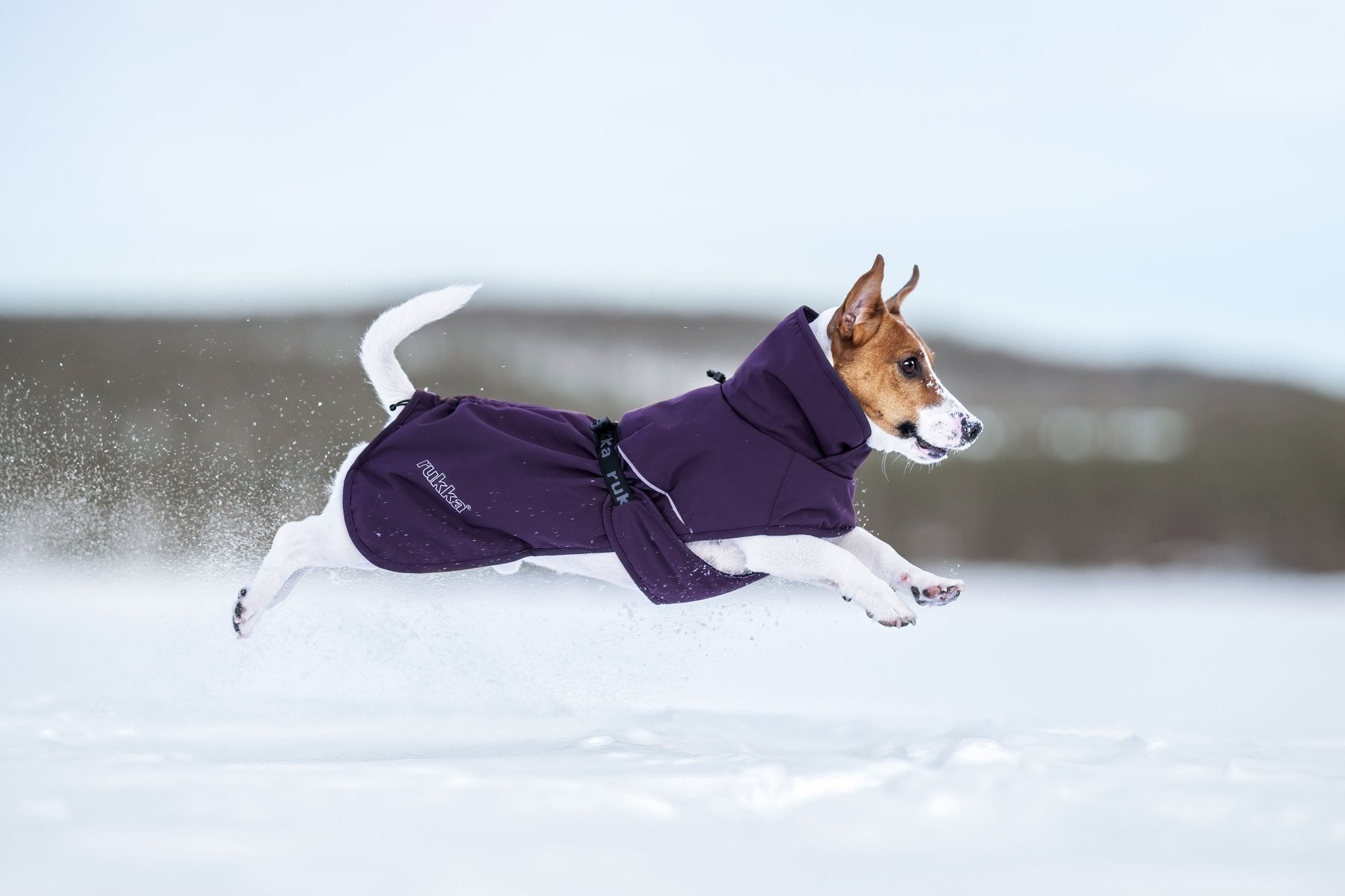 Winter Coat – Rukka Trust Foil Padded Jacket - Share Happy Outfits