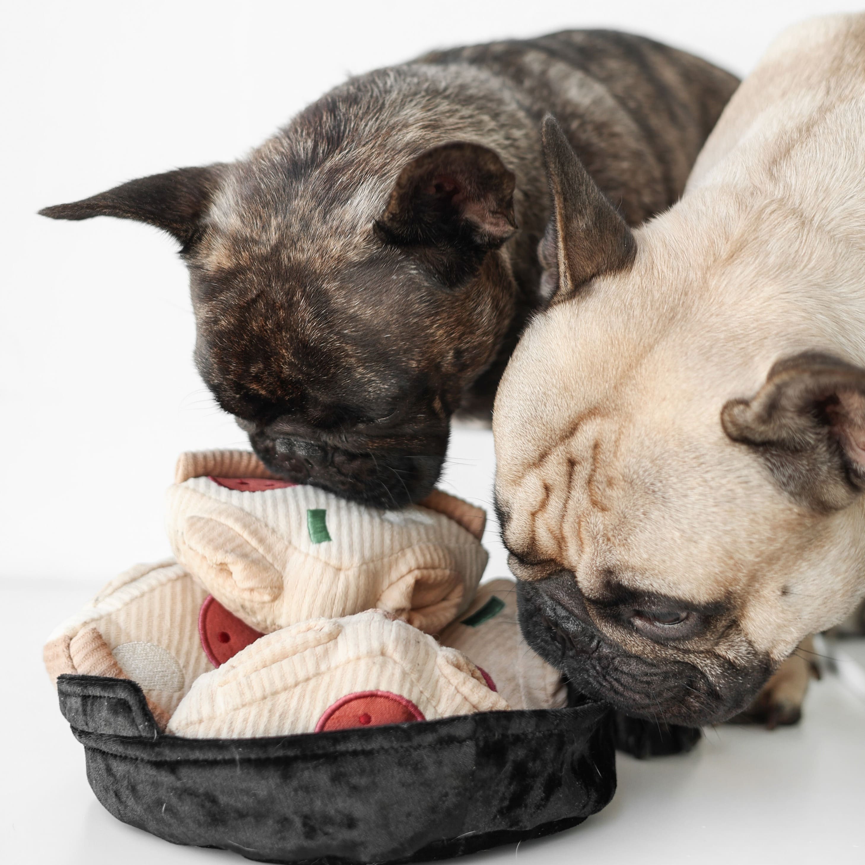 Deep Dish Pizza – Beginner-Friendly Snuffle & Burrow Dog Toy