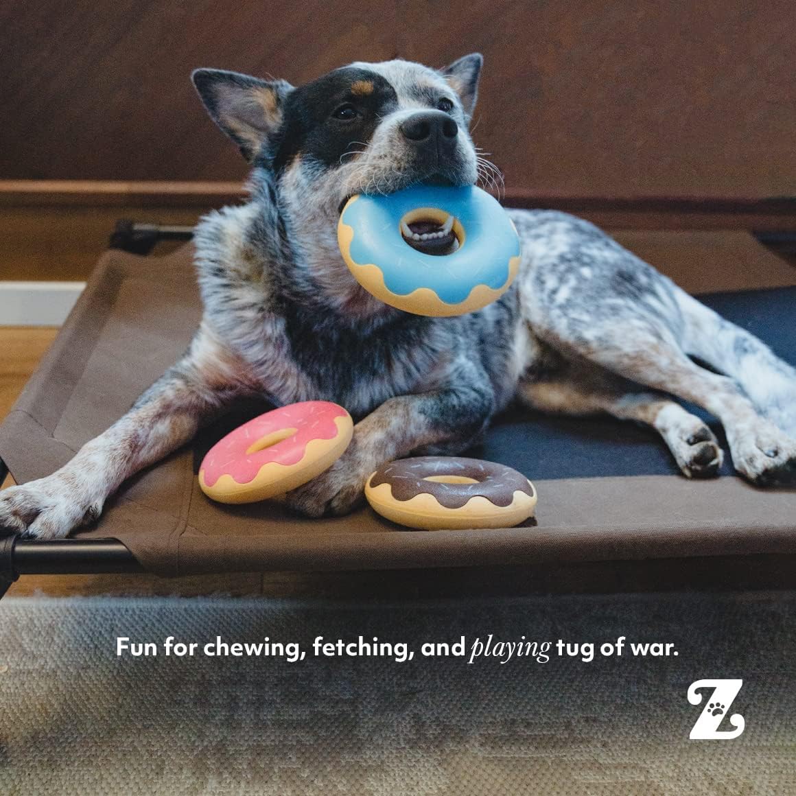 Dog playing with chew toys shaped like donuts on a wooden floor.