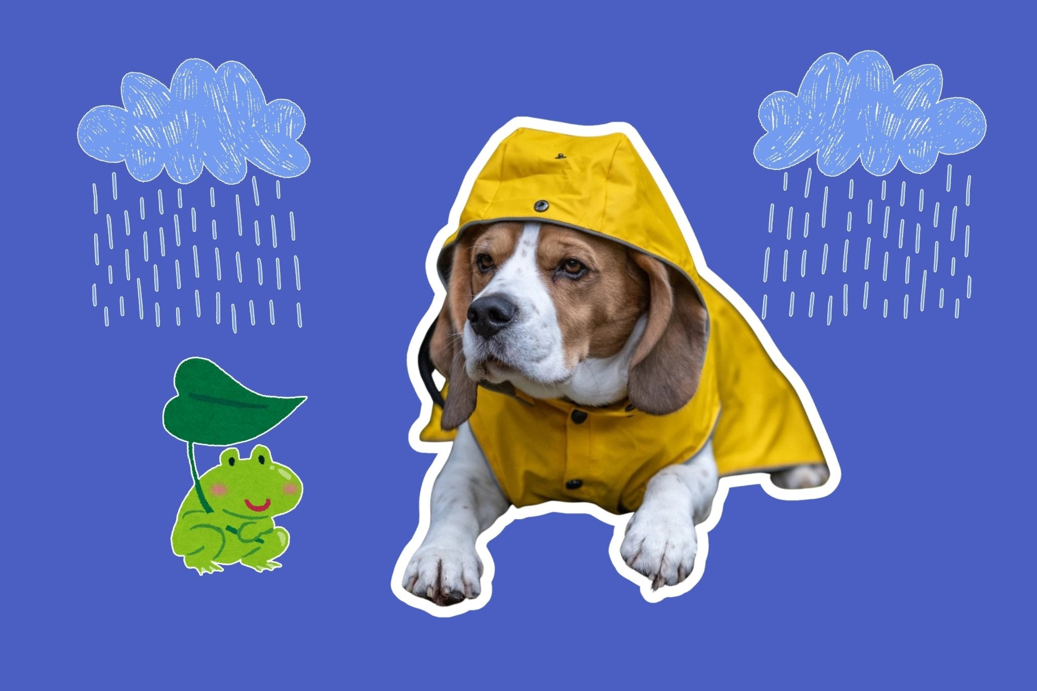 Dog in Yellow Raincoat and a Frog with Umbrella