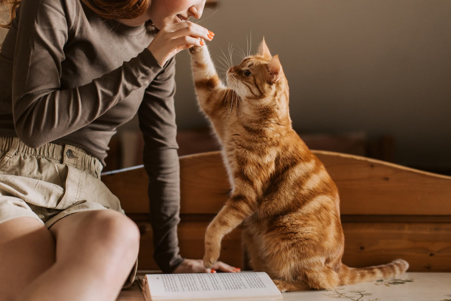 The Secret Lives of Domestic Cats: What Science Tells Us About Our Feline Friends