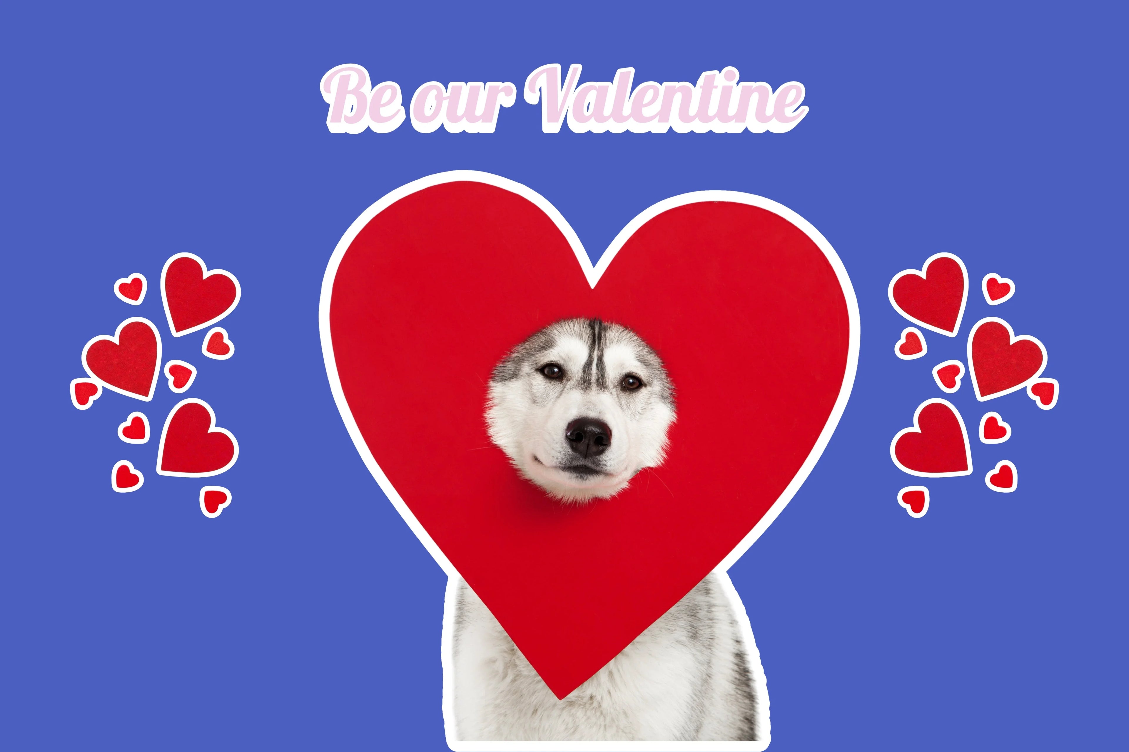 Love at First Bark - Valentine's Dog Gifts