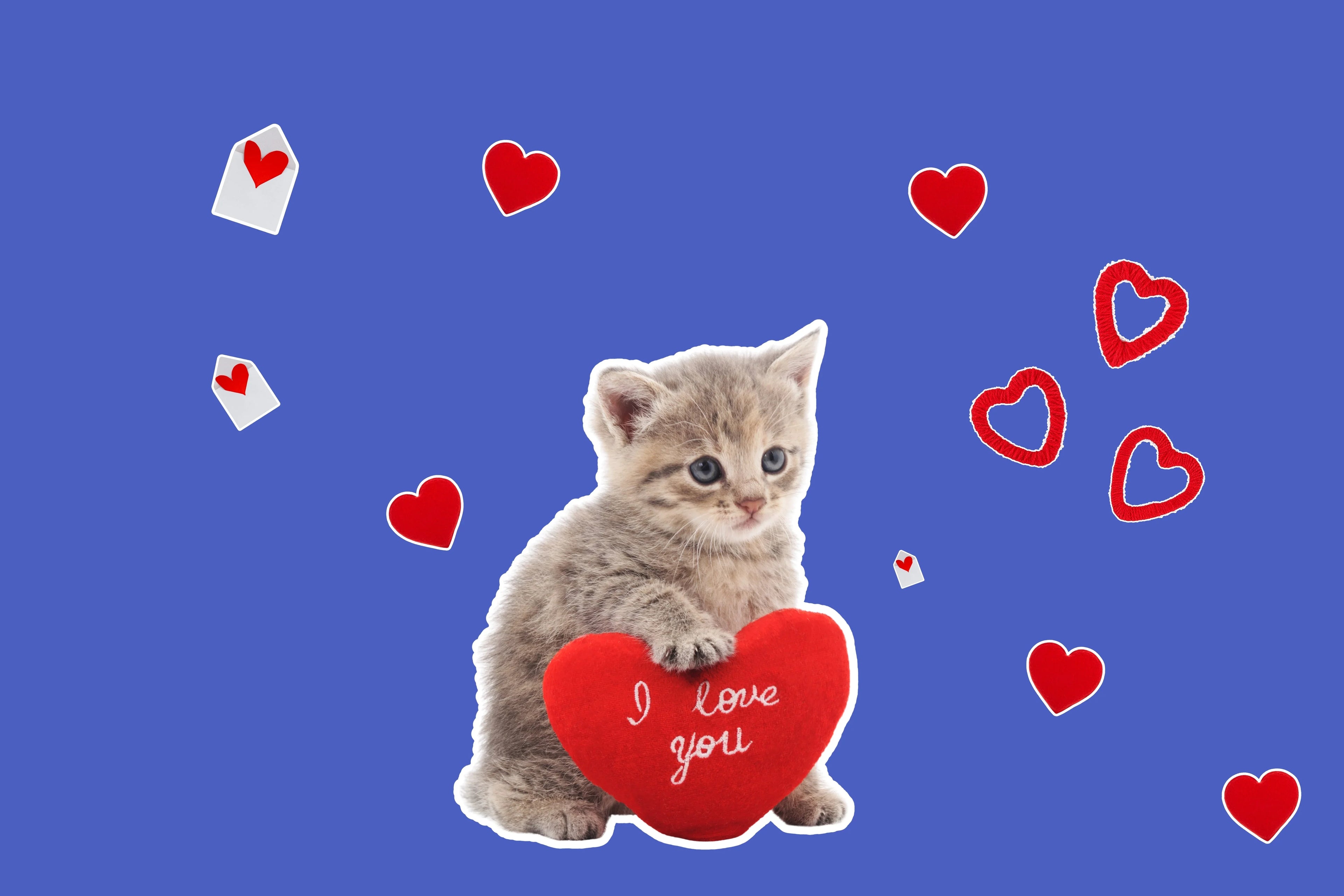 Purrfect Match – Valentine's Gifts for Cats