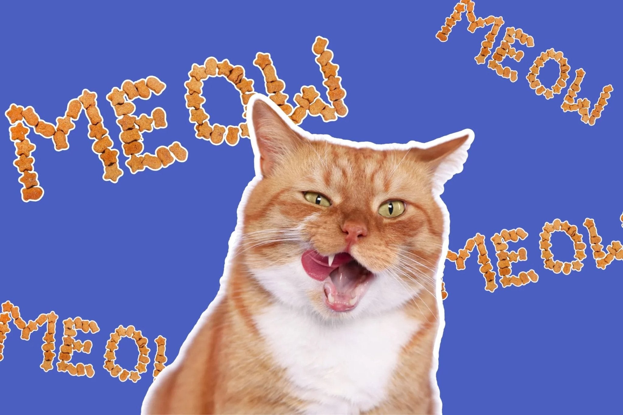 Cat Treats & Snacks