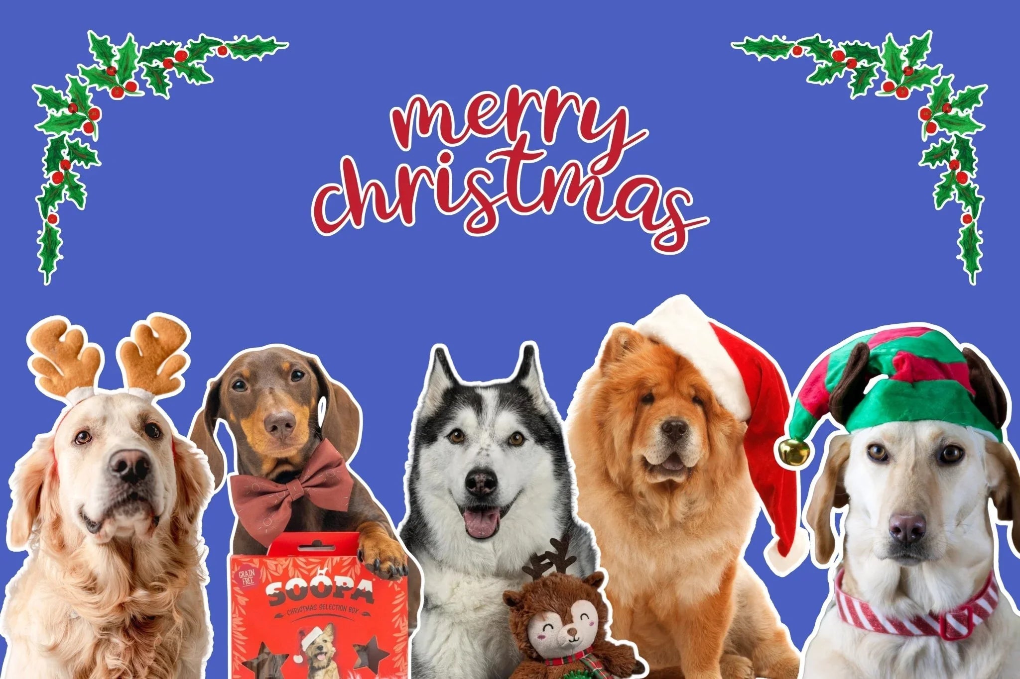 Dog Christmas Shop - Share Happy Outfits