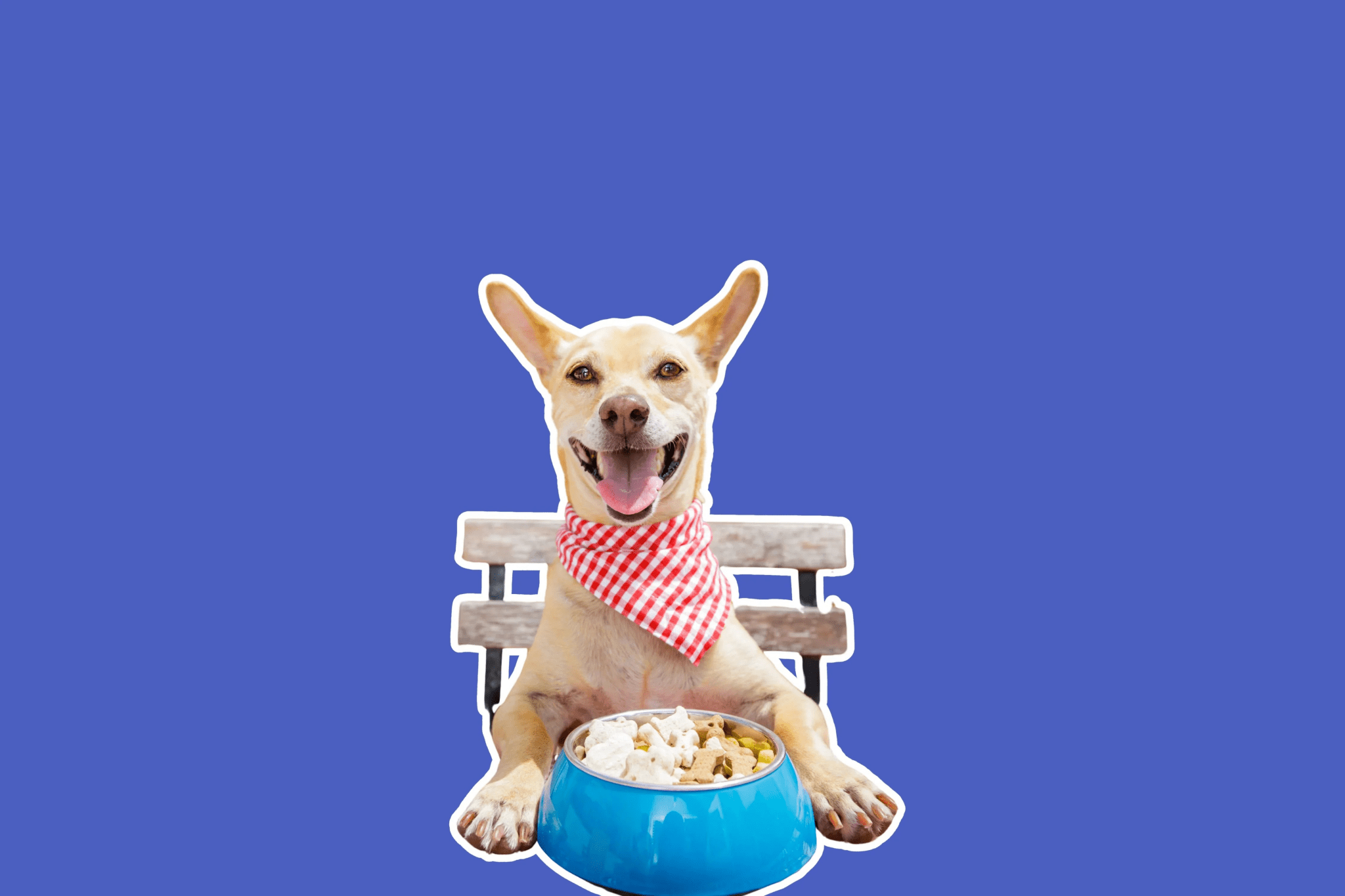 Dog Functional Treats