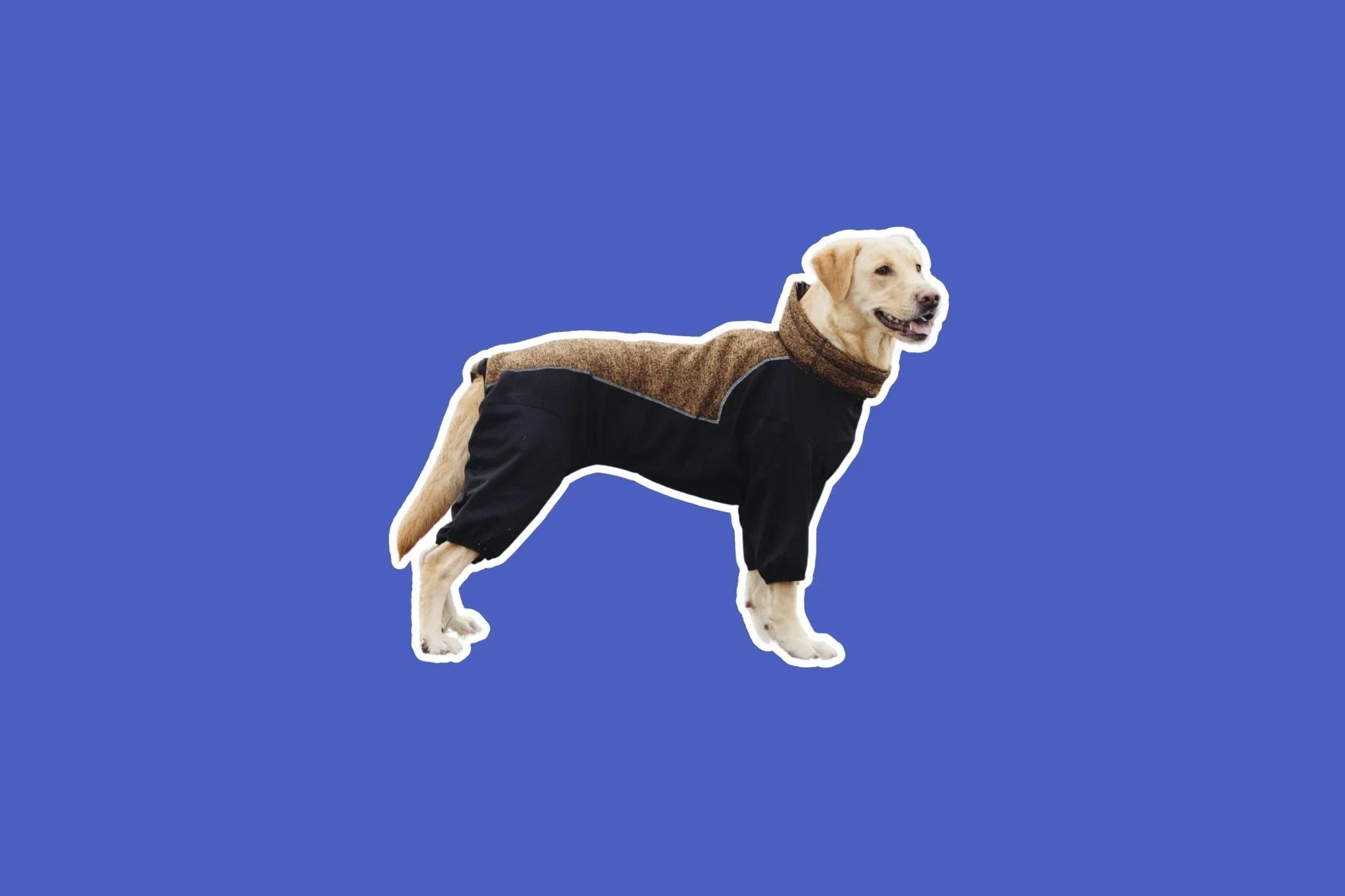 Dog Sweaters & Hoodies - Share Happy Outfits