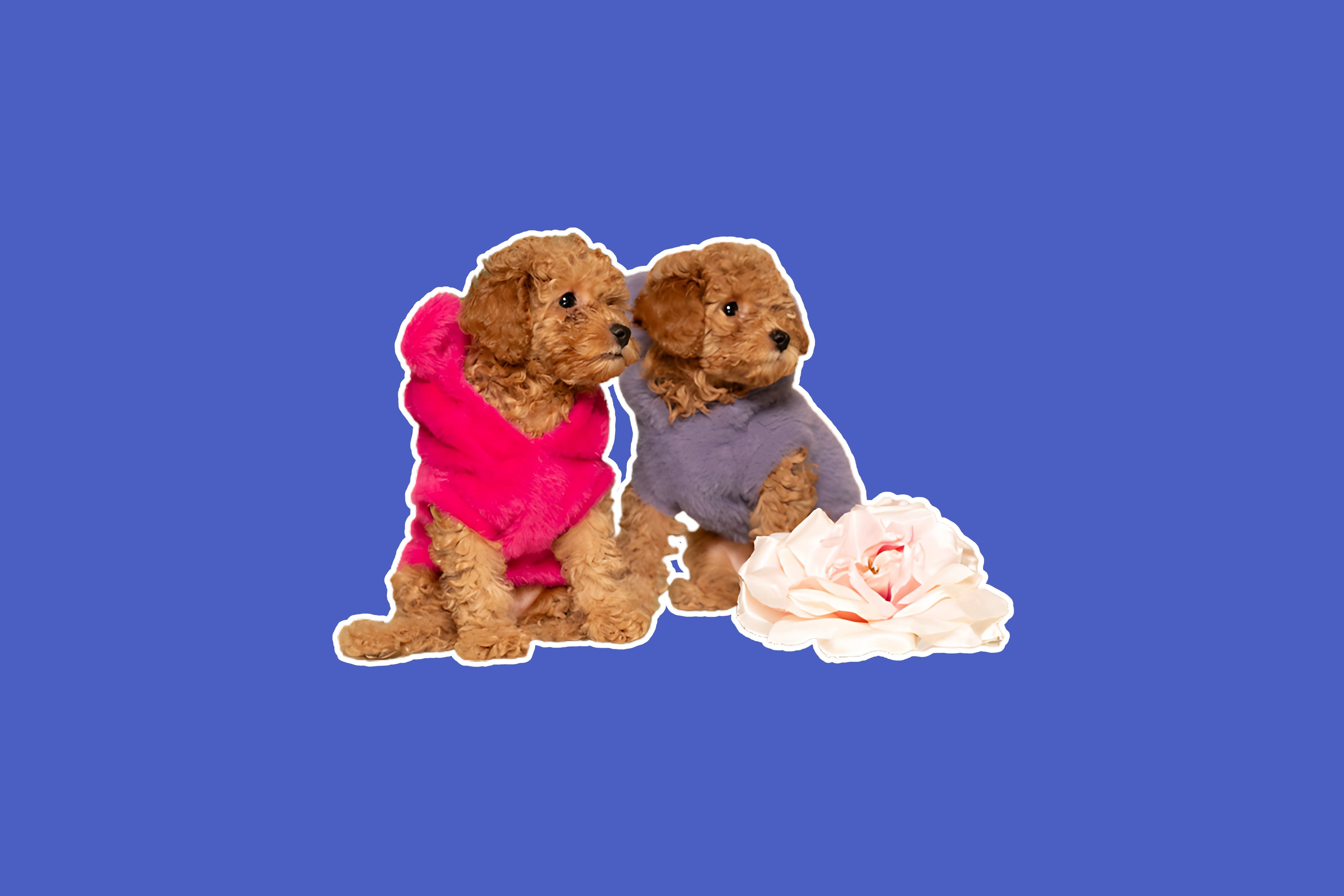 Fashion - Share Happy Outfits