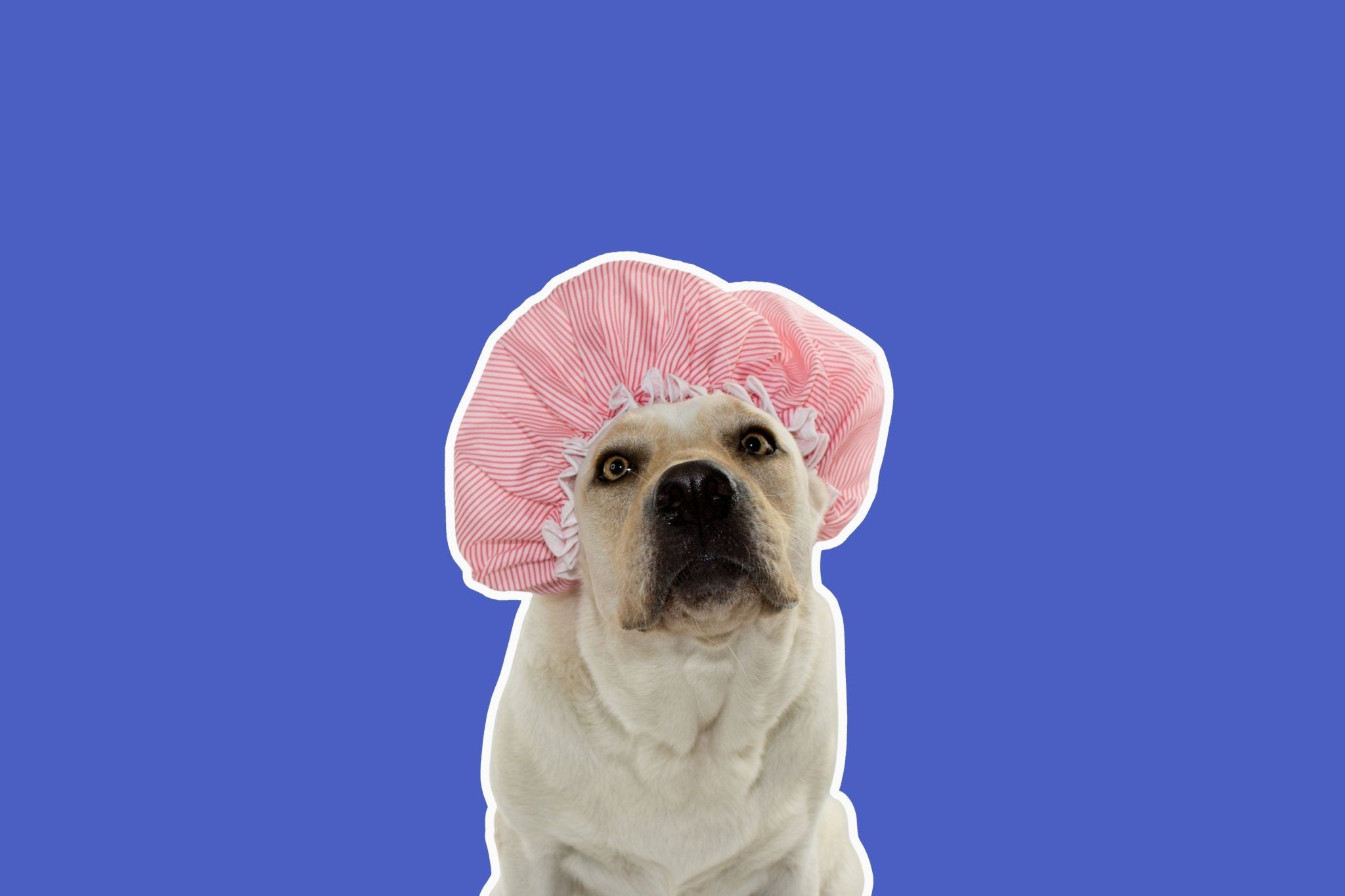 Grooming Essentials - Share Happy Outfits