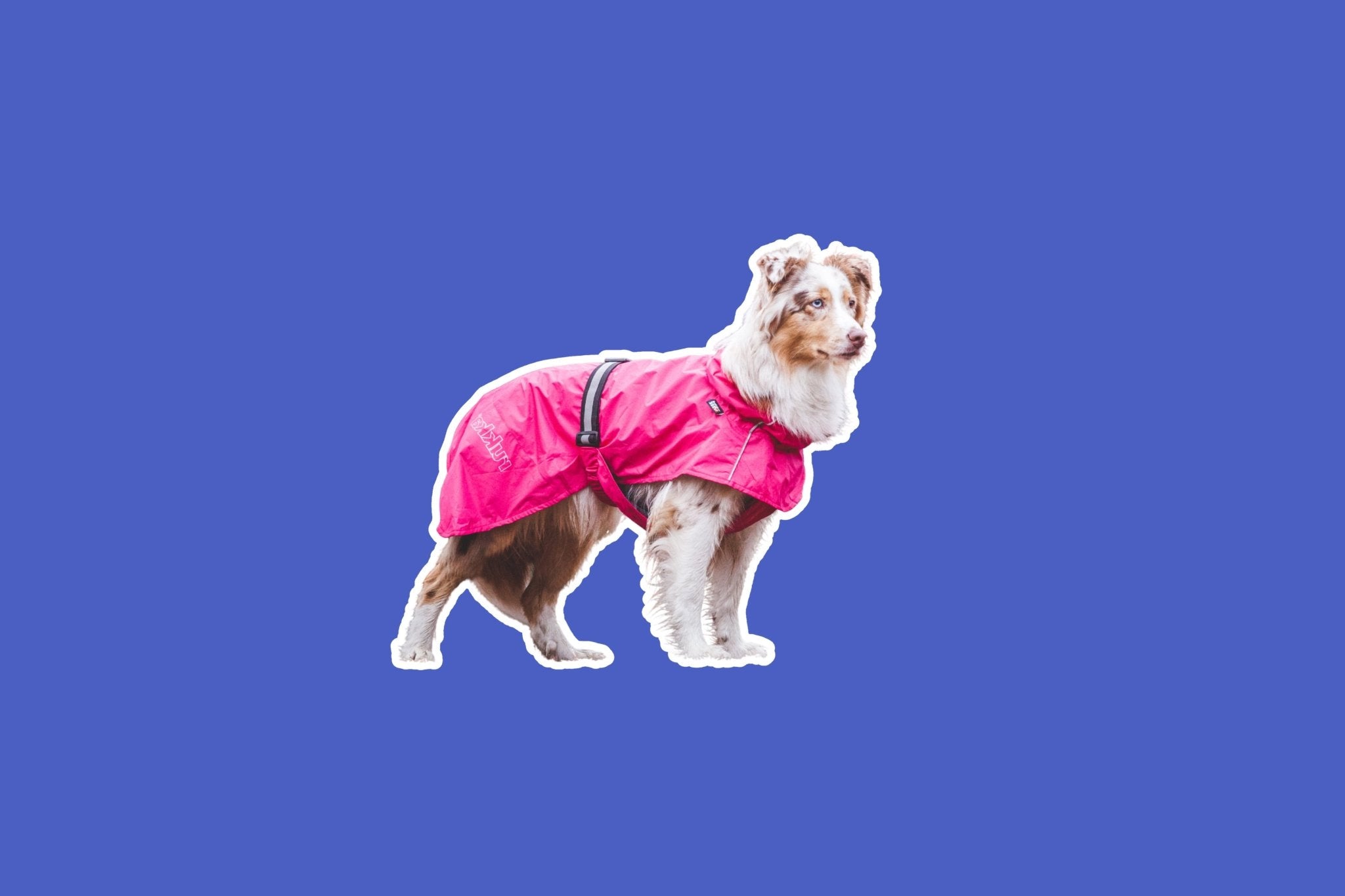 Raincoats, Jackets & Reflective Wear - Share Happy Outfits