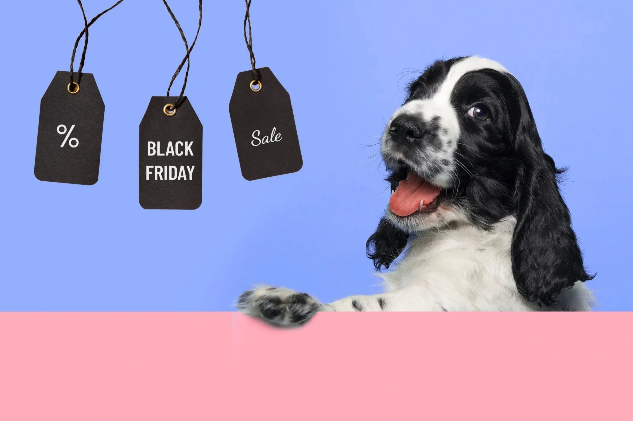 Black Friday for Dogs - Share Happy Outfits