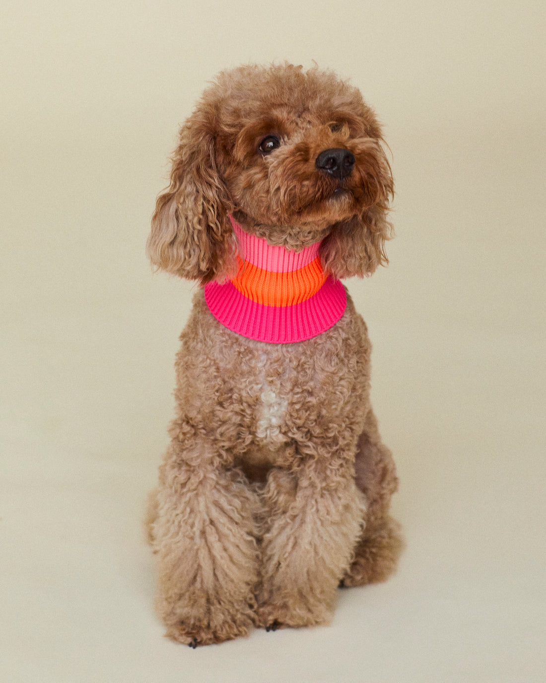 Sunny Tangerine - The Glow Loop - Share Happy Outfits