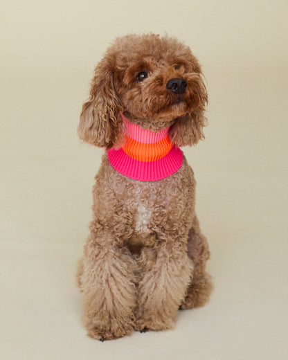 Sunny Tangerine - The Glow Loop - Share Happy Outfits