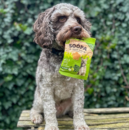 Natural Vegan Dog Healthy Bites - Kale &amp; Apple - Share Happy Outfits