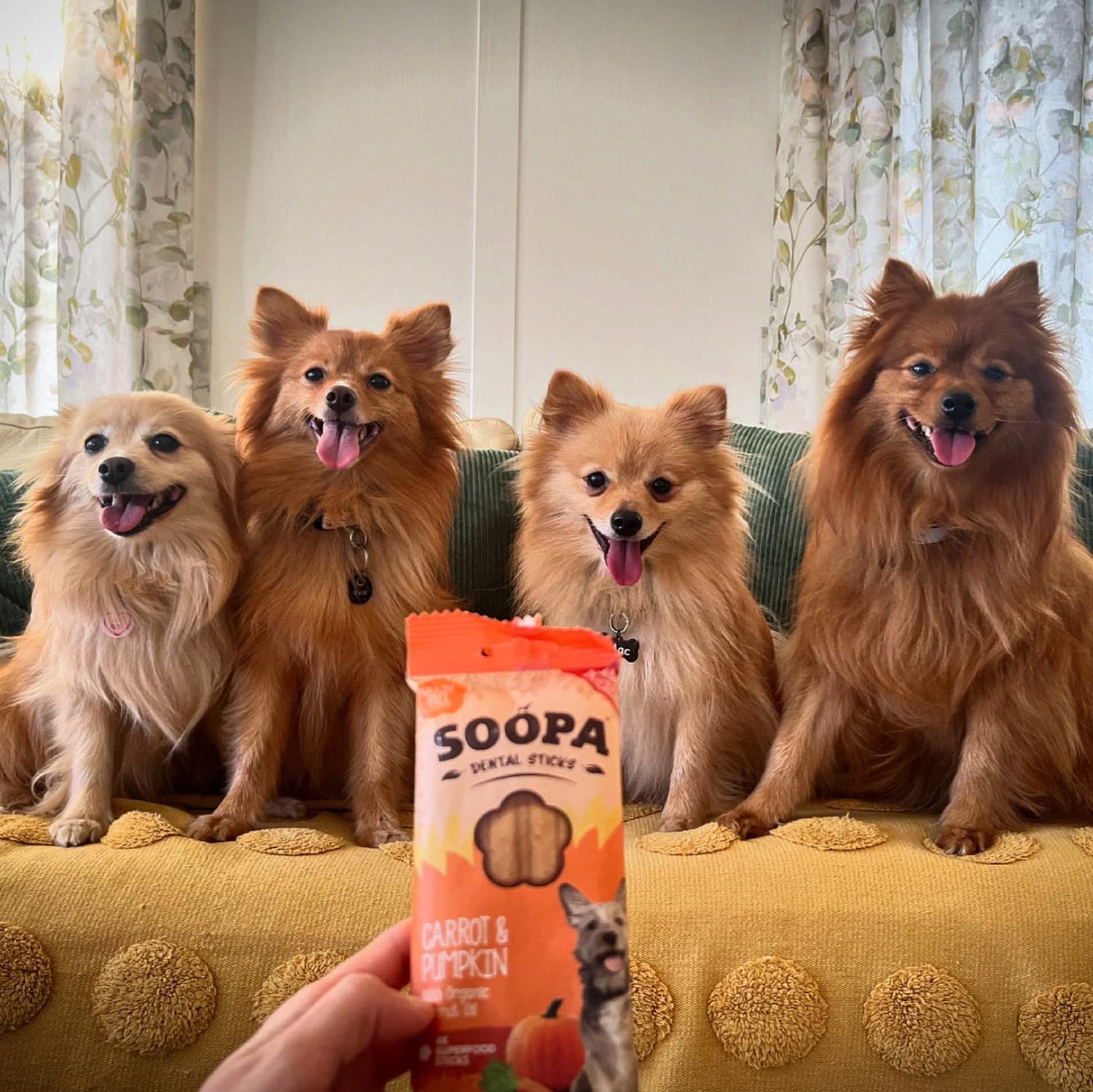 Natural Vegan Dog Dental Treat - Carrot &amp; Pumpkin Sticks - Share Happy Outfits