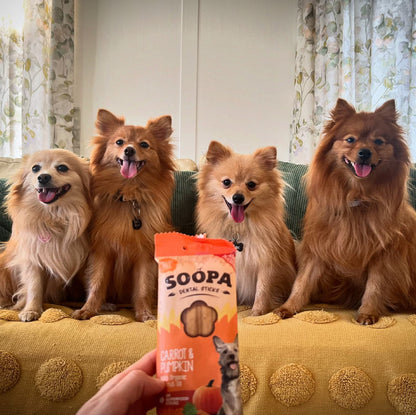 Natural Vegan Dog Dental Treat - Carrot &amp; Pumpkin Sticks - Share Happy Outfits